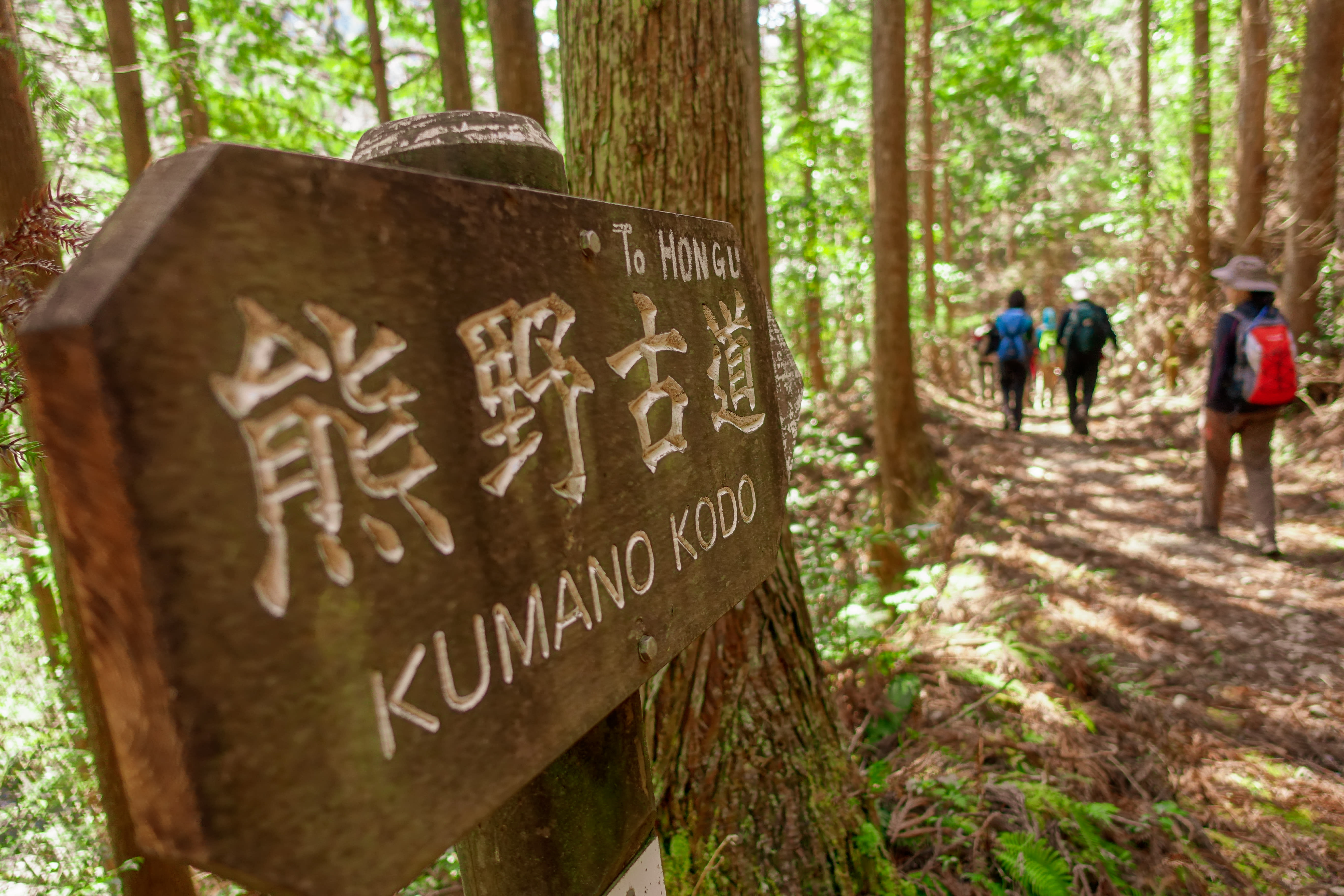 Image De Kyoto à Tokyo, en passant par les chemins du Kumano Kodo