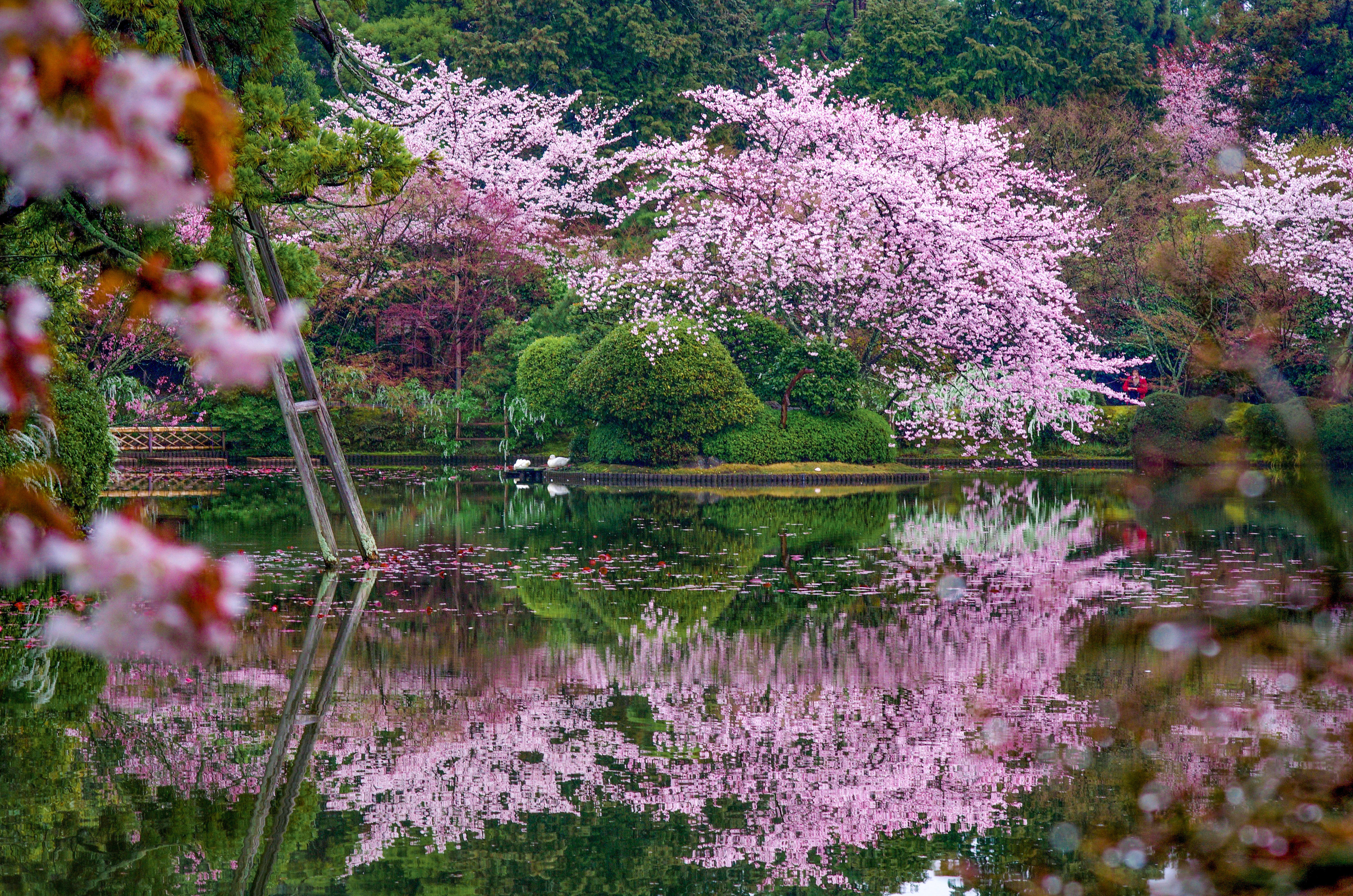 Image De Kyoto à Tokyo, en passant par les chemins du Kumano Kodo