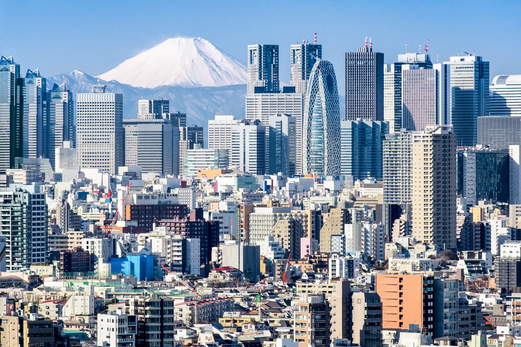 Image De Kyoto à Tokyo, en passant par les chemins du Kumano Kodo