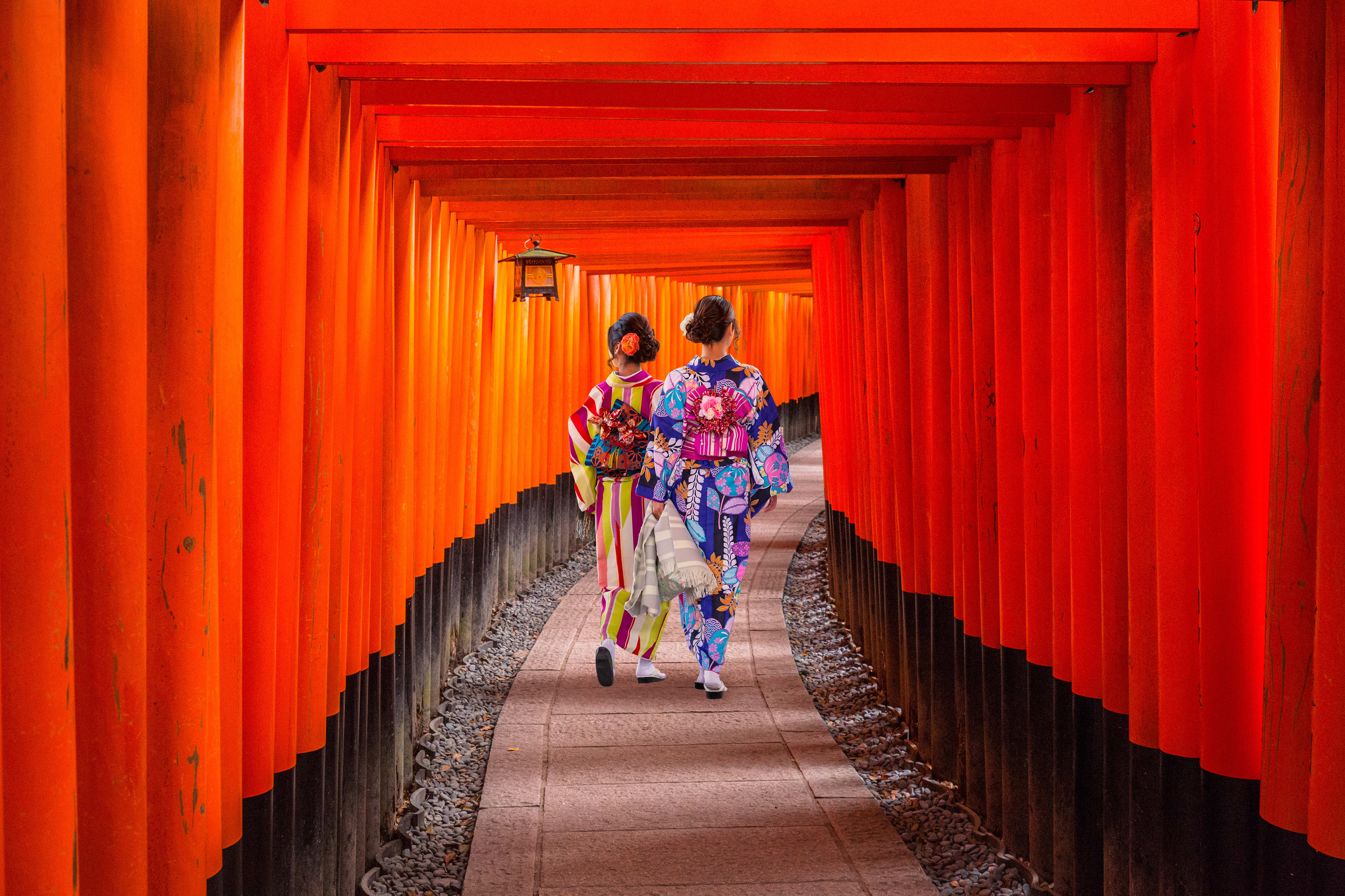 De Kyoto à Tokyo, en passant par les chemins du Kumano Kodo
