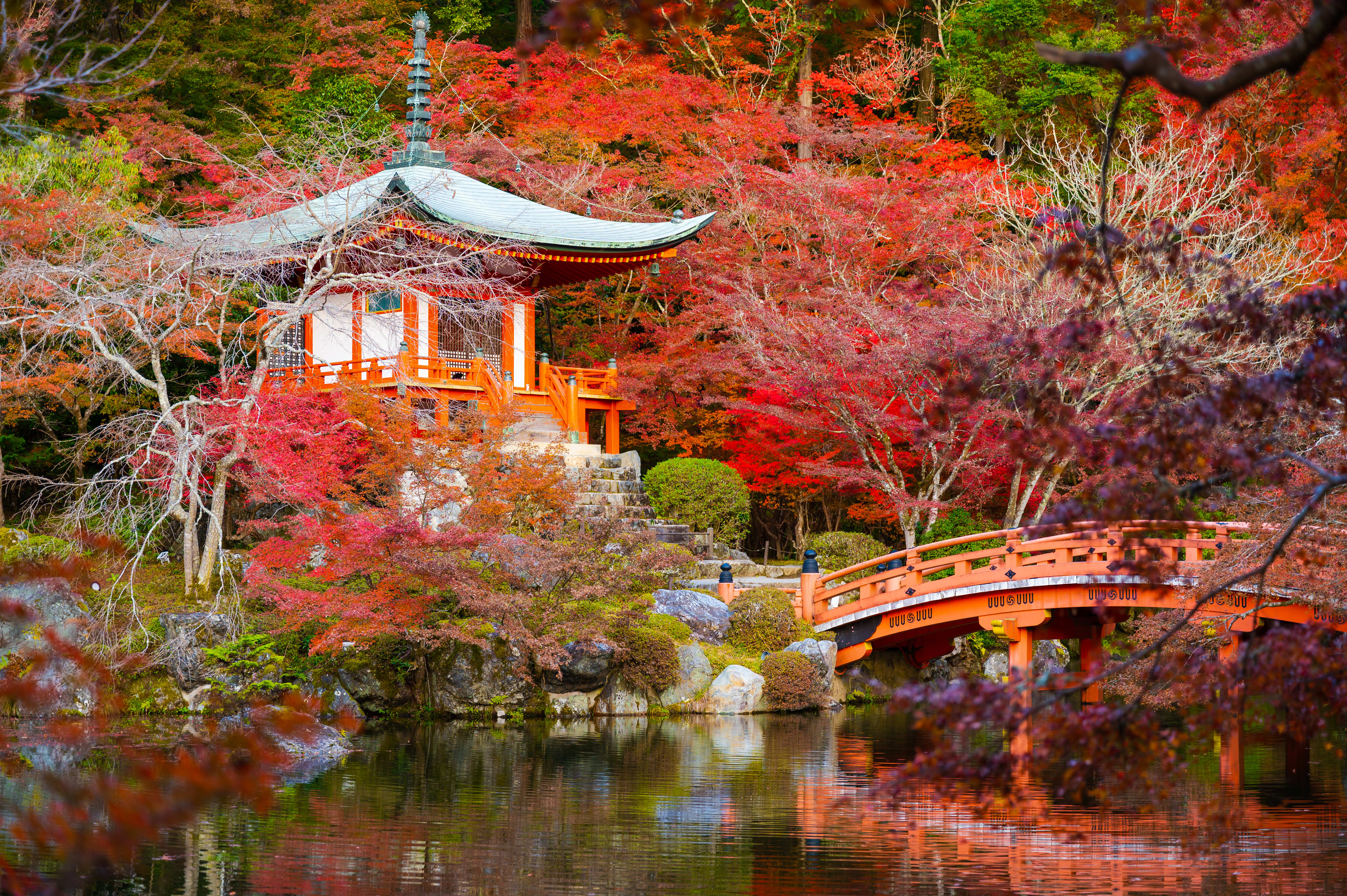 Image De Kyoto à Tokyo, en passant par les chemins du Kumano Kodo