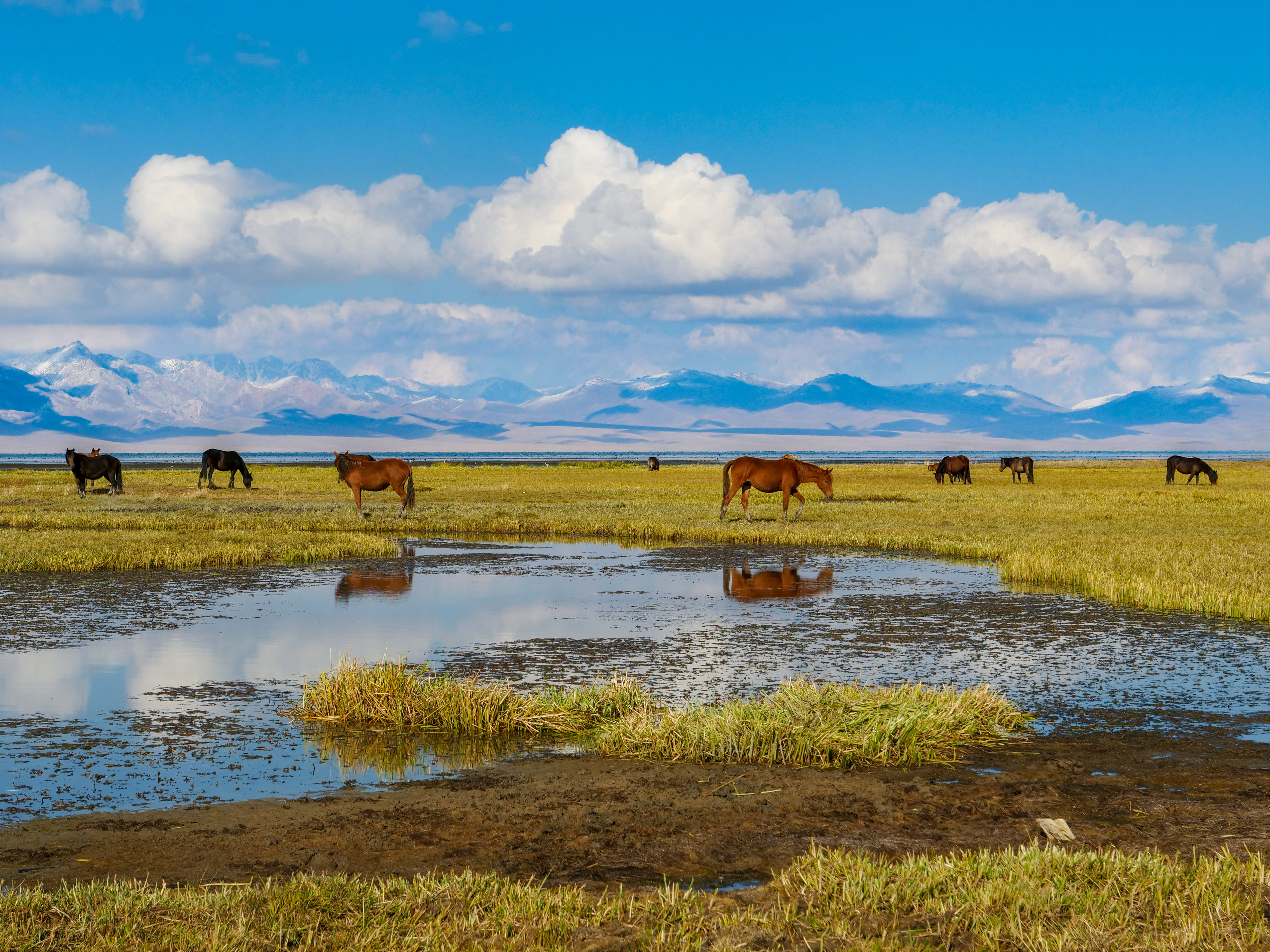 Image Tien Shan, sur les sentiers d'Asie Centrale