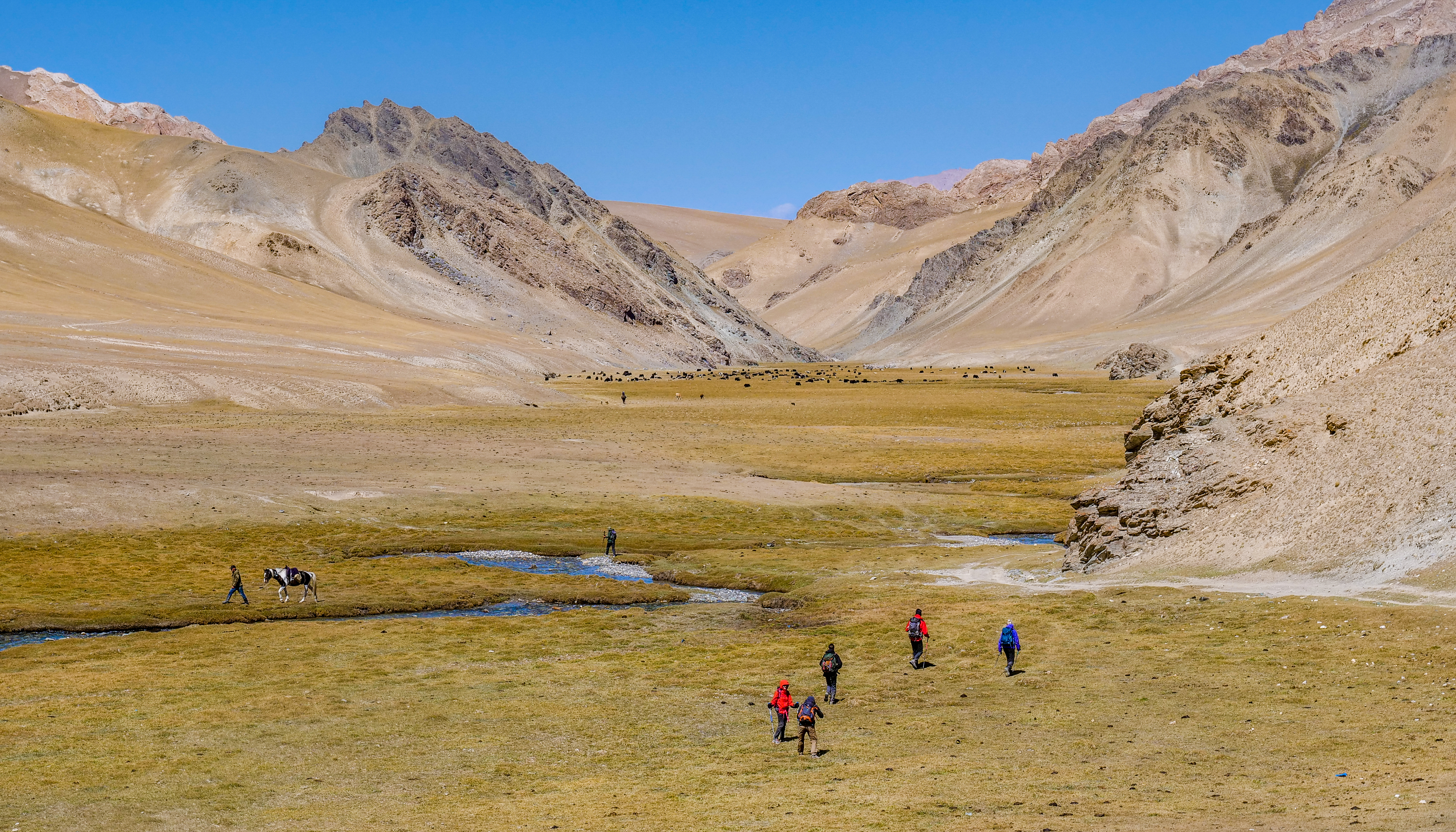 Tien Shan, sur les sentiers d'Asie Centrale