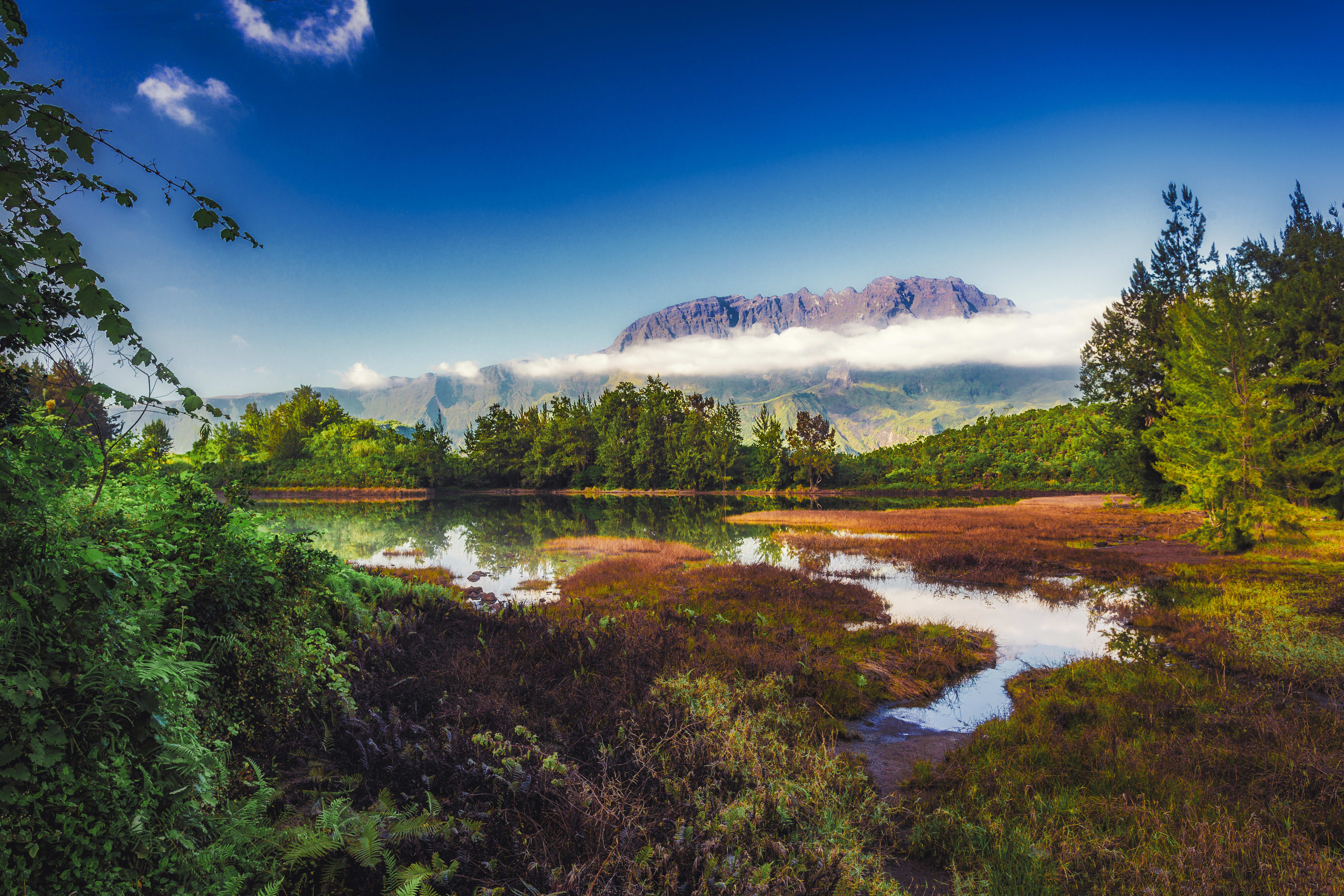 Image La Réunion en douceur