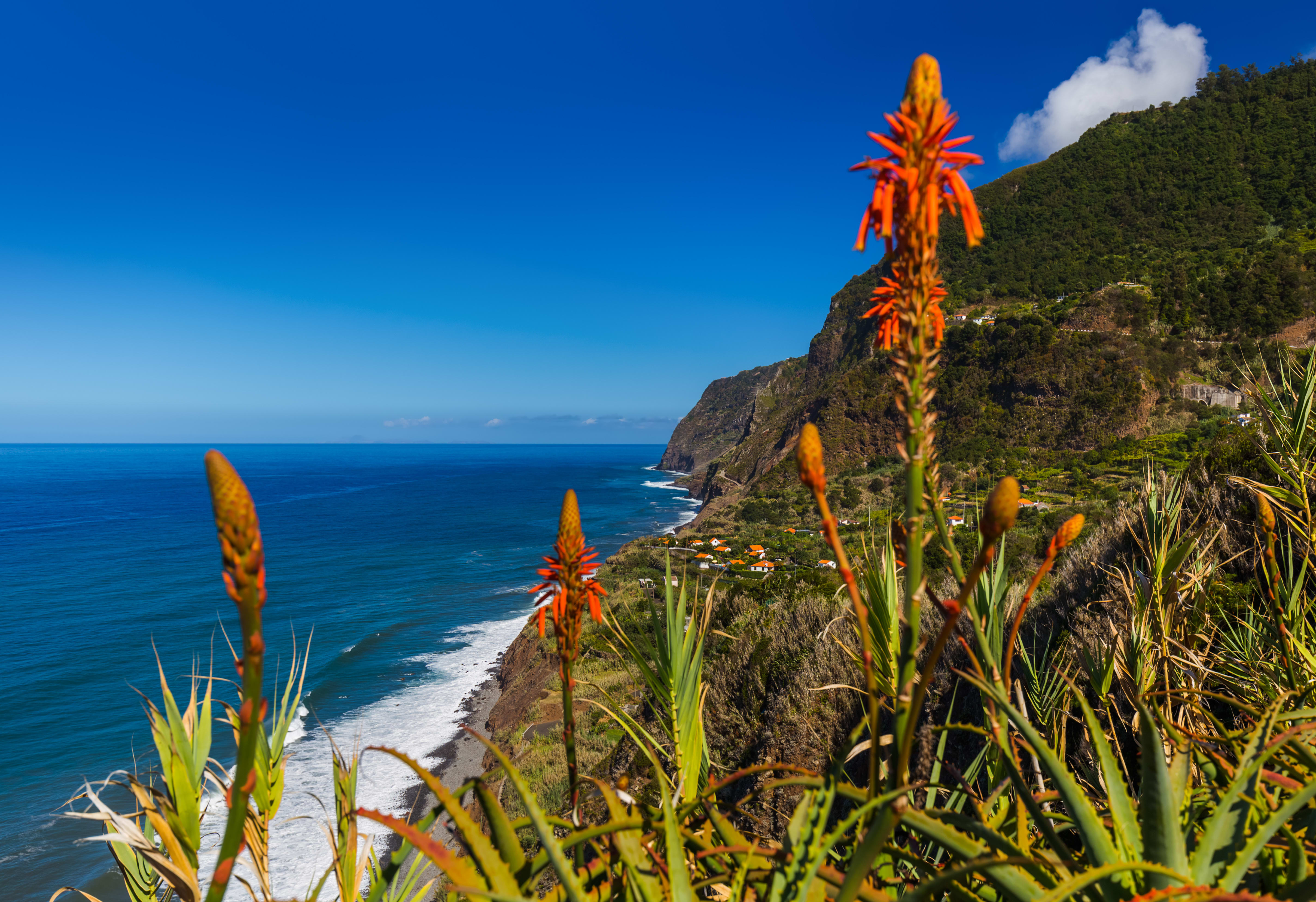 Image Le jardin de l'Atlantique