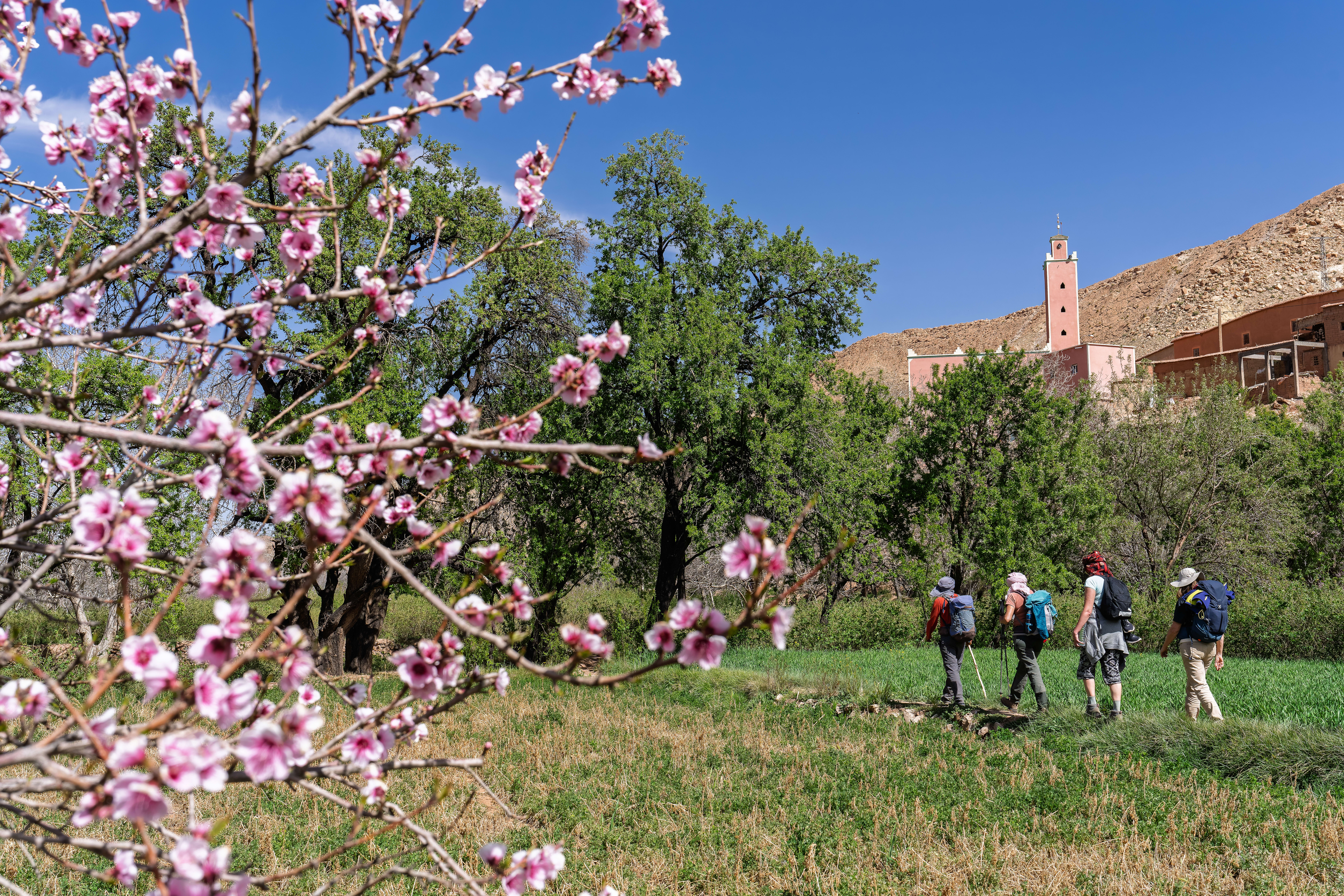 Vallée des Roses et des kasbahs