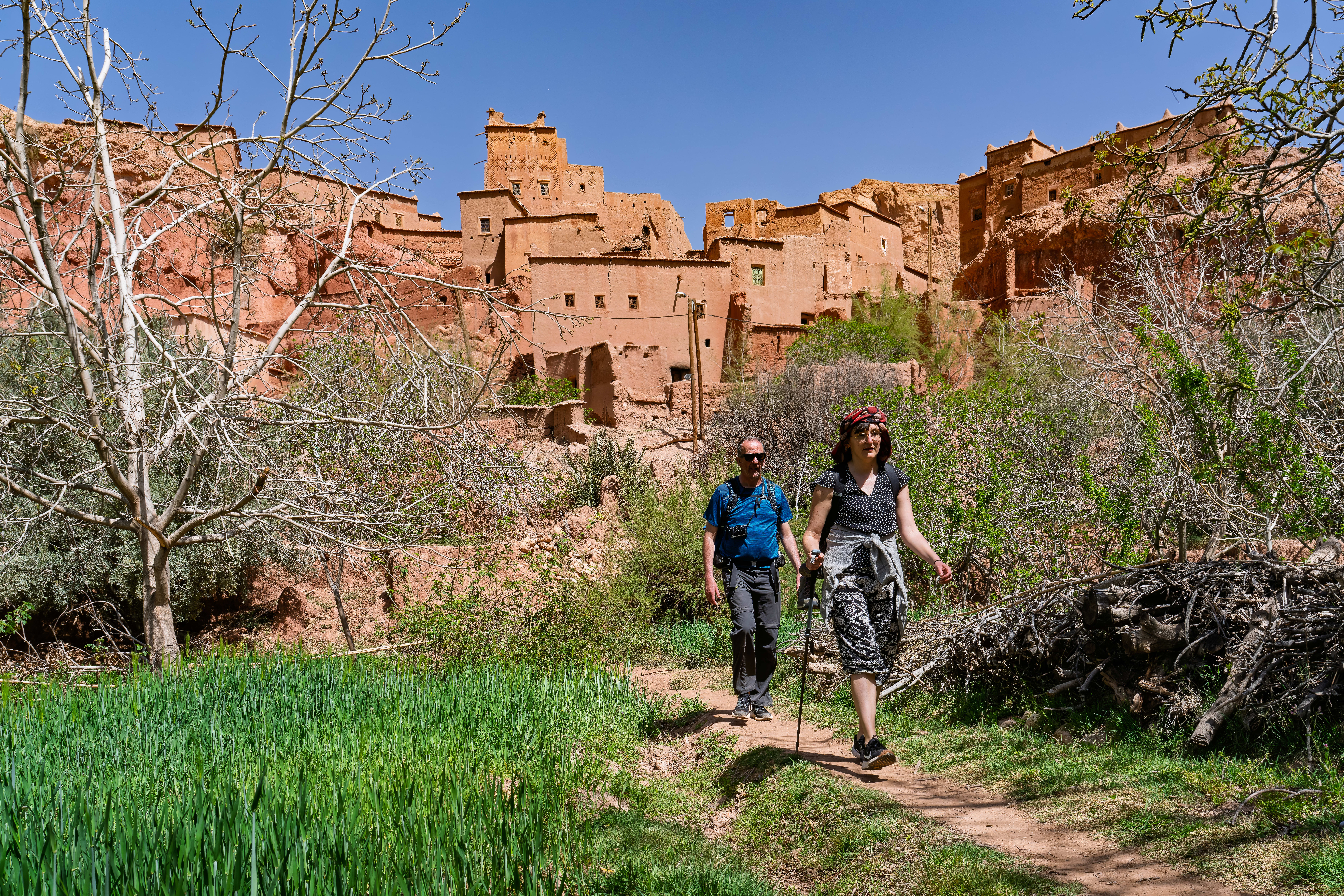 Image Vallée des Roses et des kasbahs