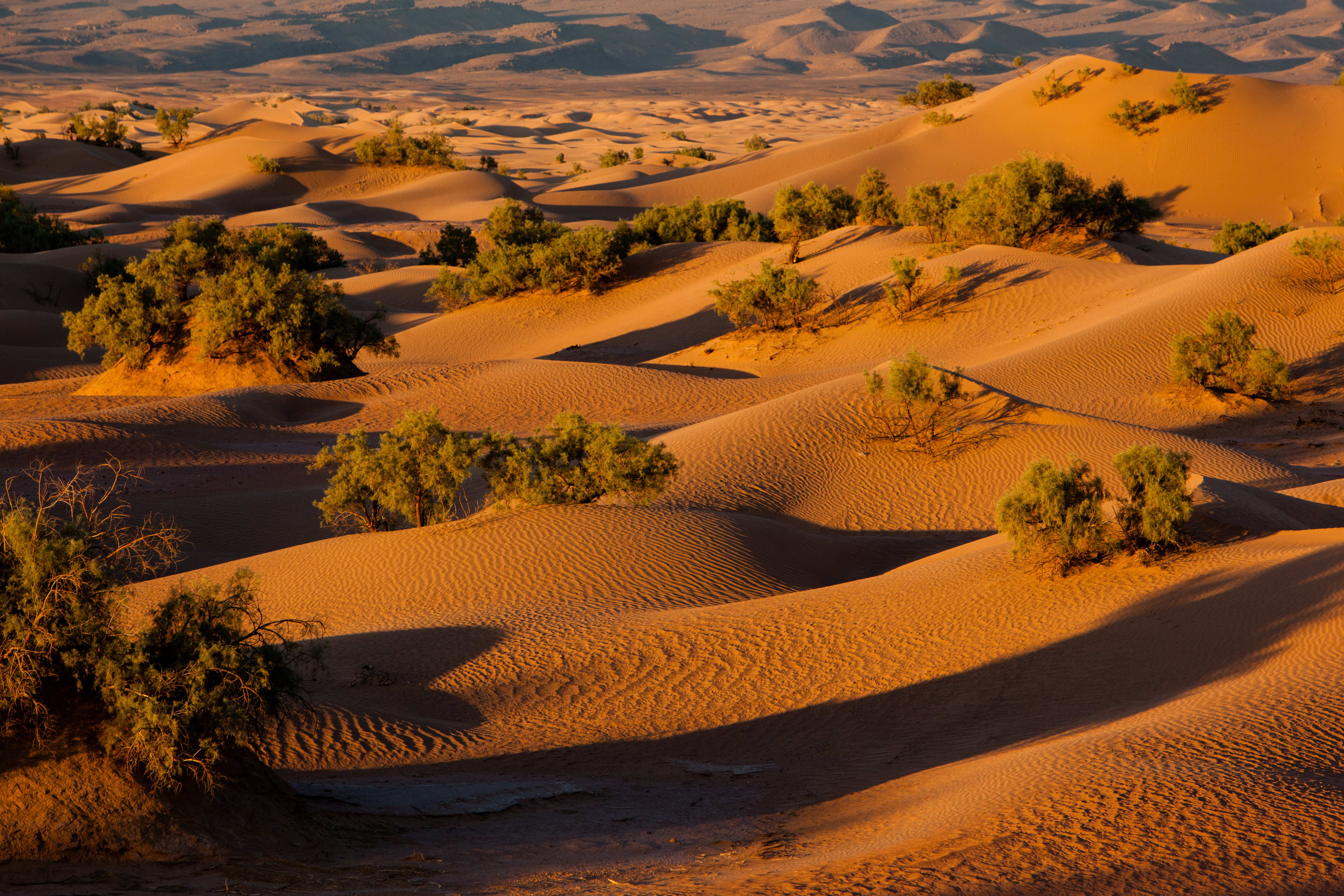Image Randonnée et yoga dans le désert marocain