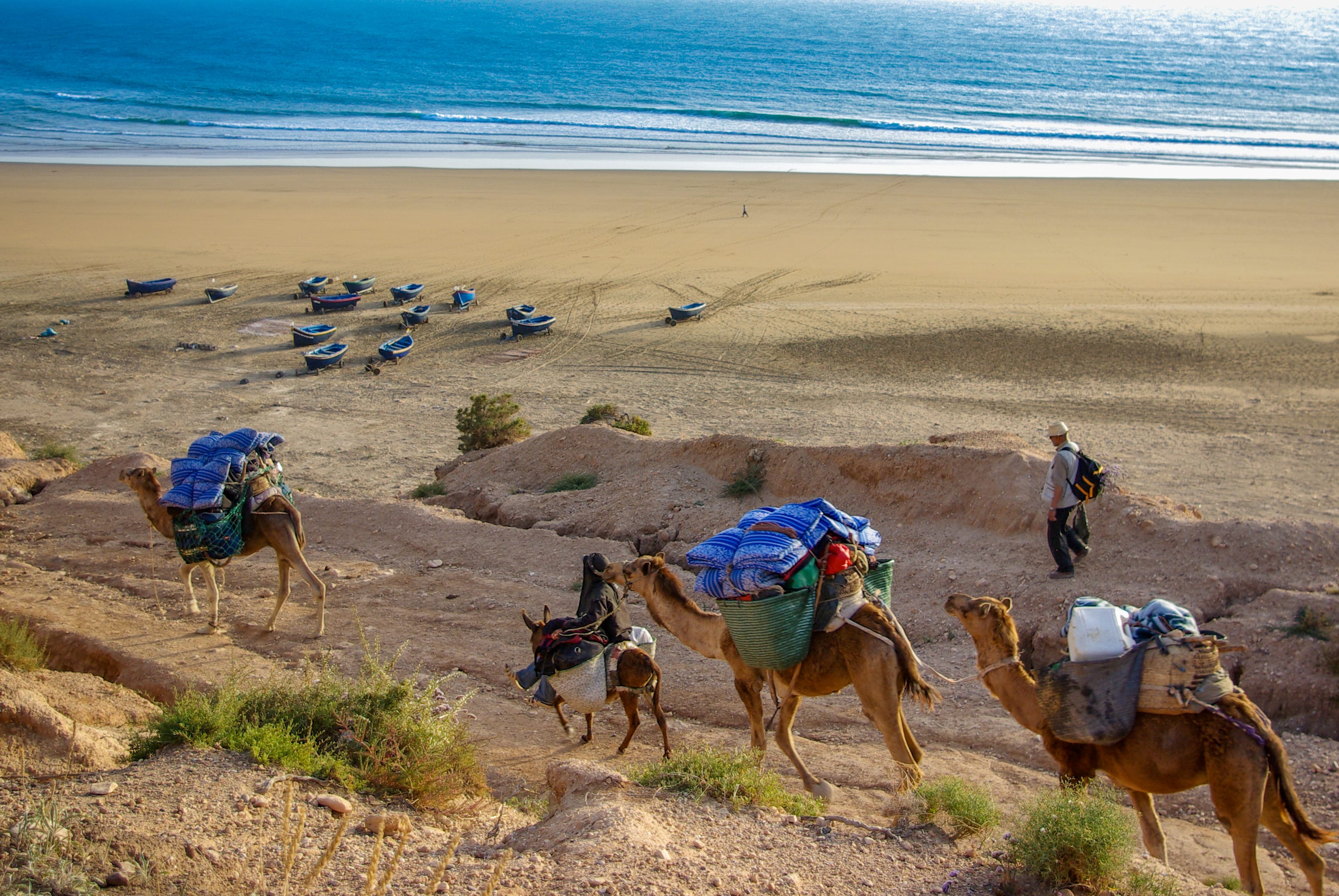 Image Essaouira et la côte Atlantique