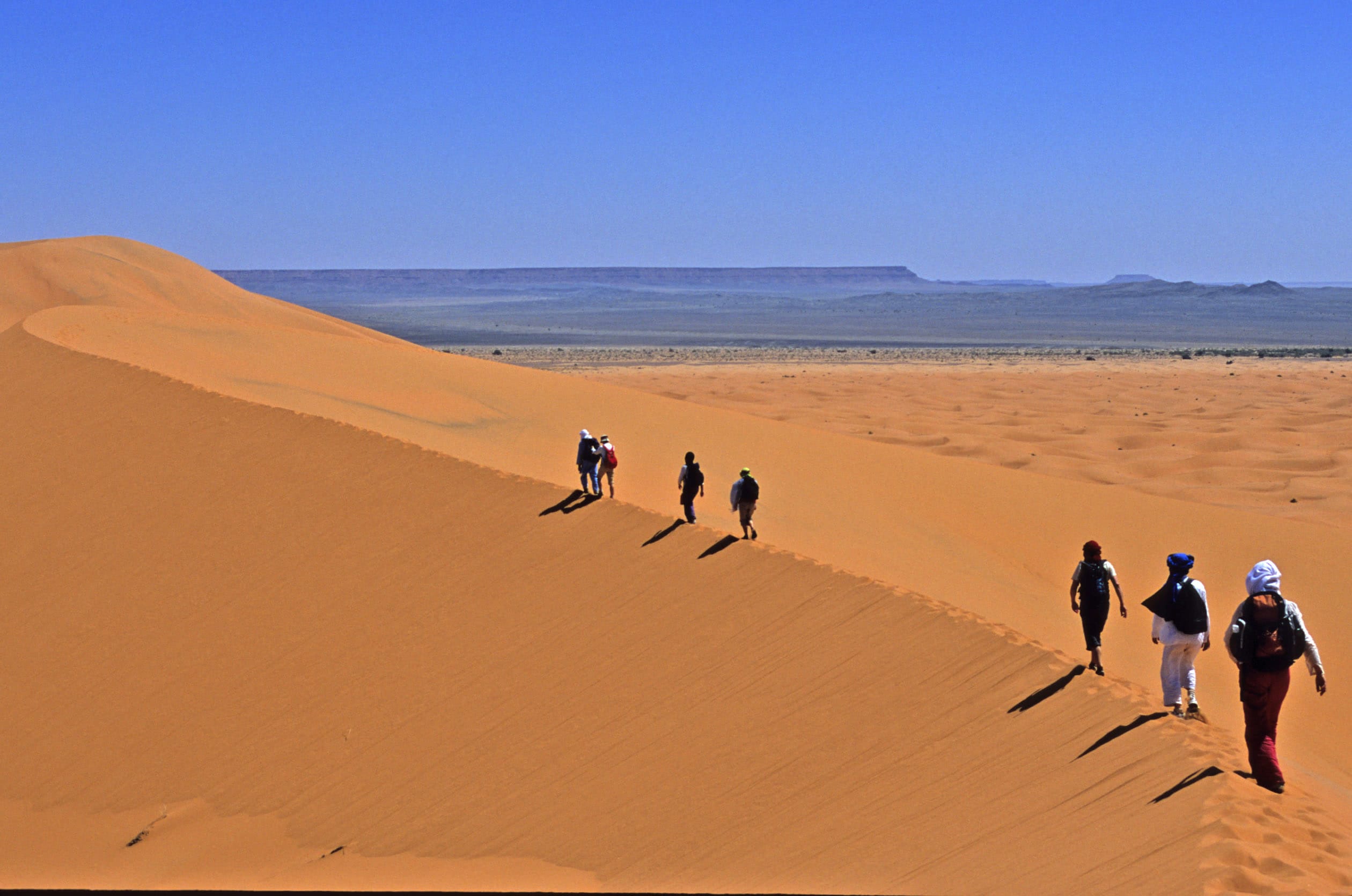 Image Dunes et oasis du Sud marocain