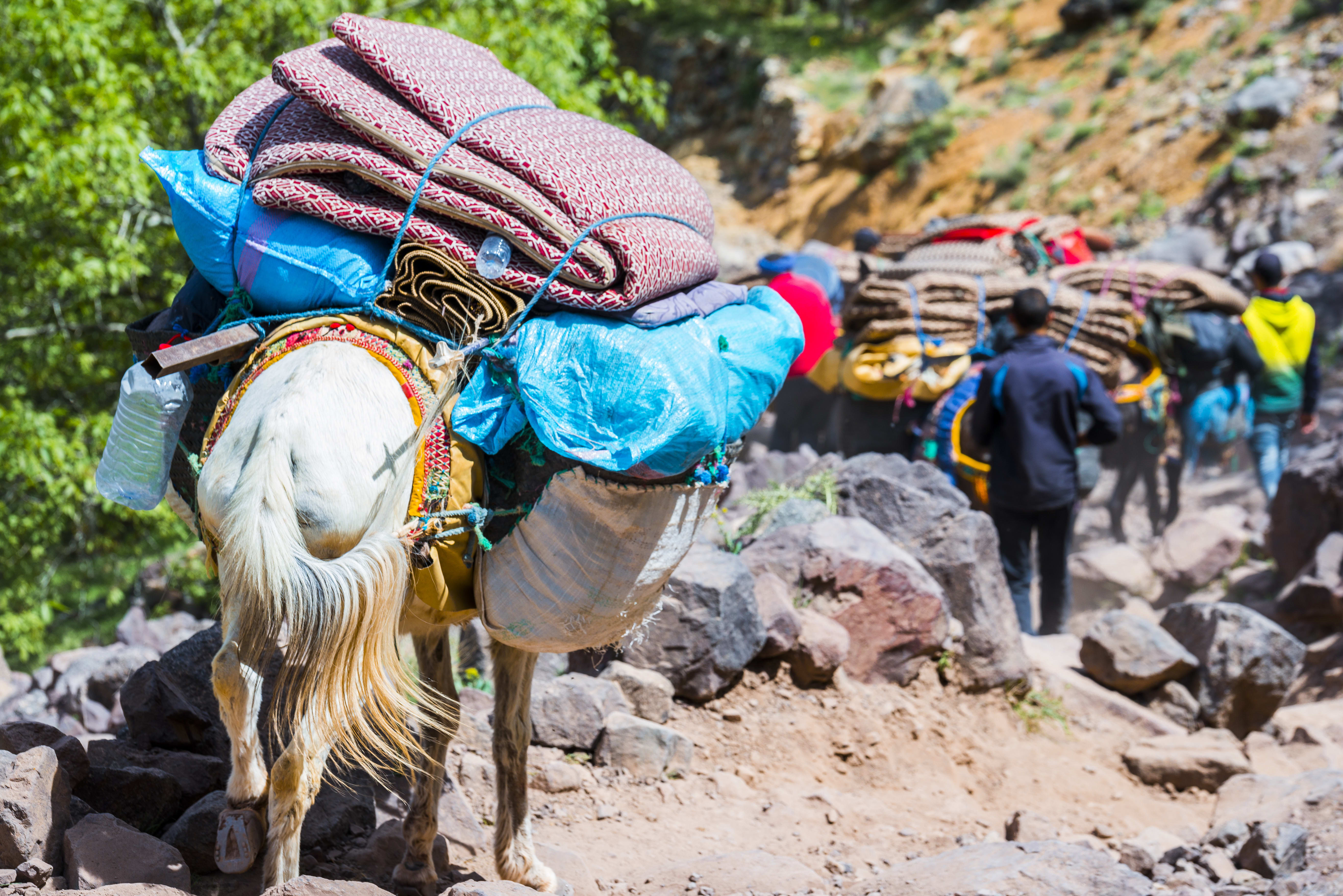 Image Randonnée et ascension du Toubkal