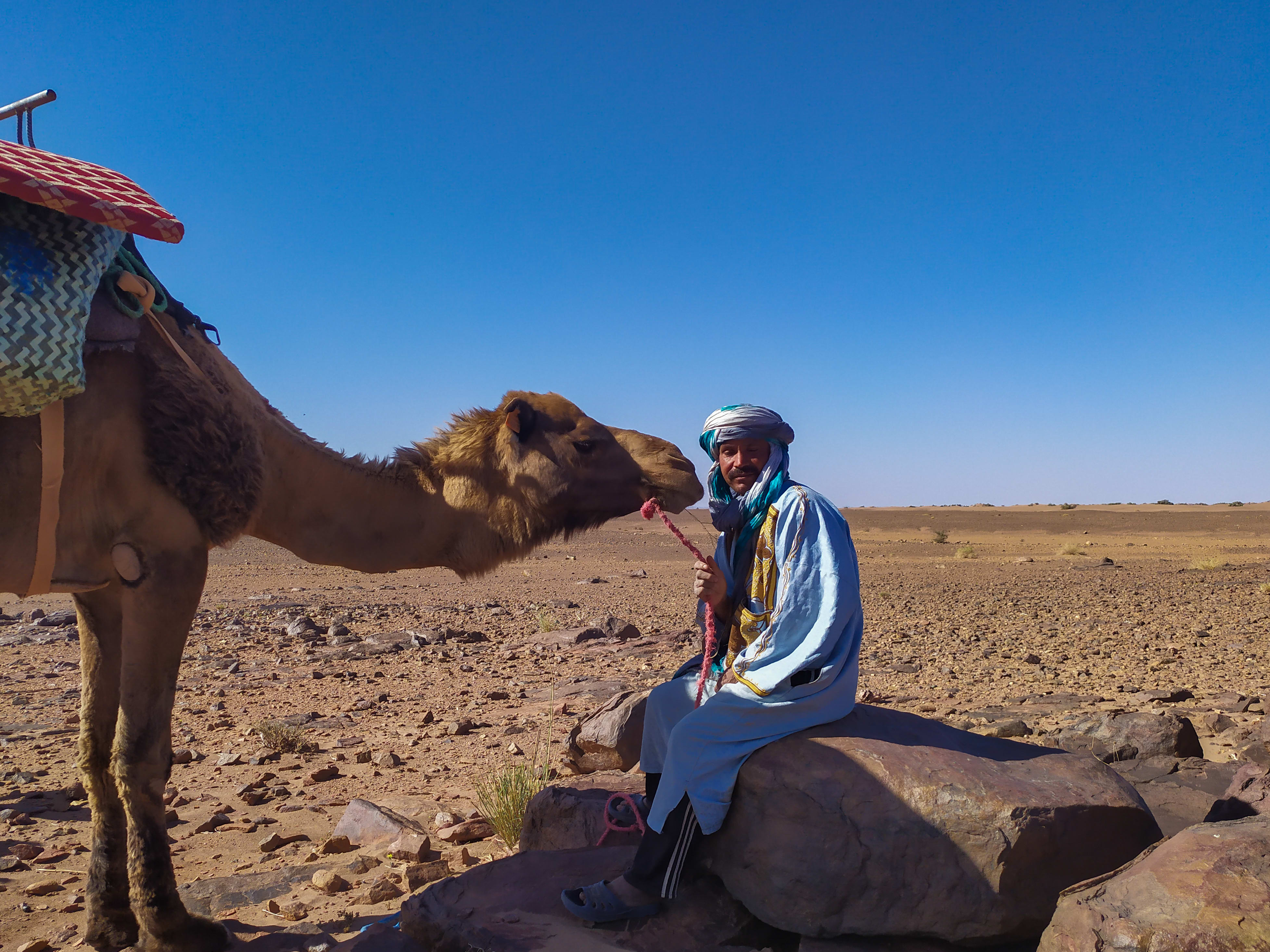 Image Dunes et oasis du Sud marocain