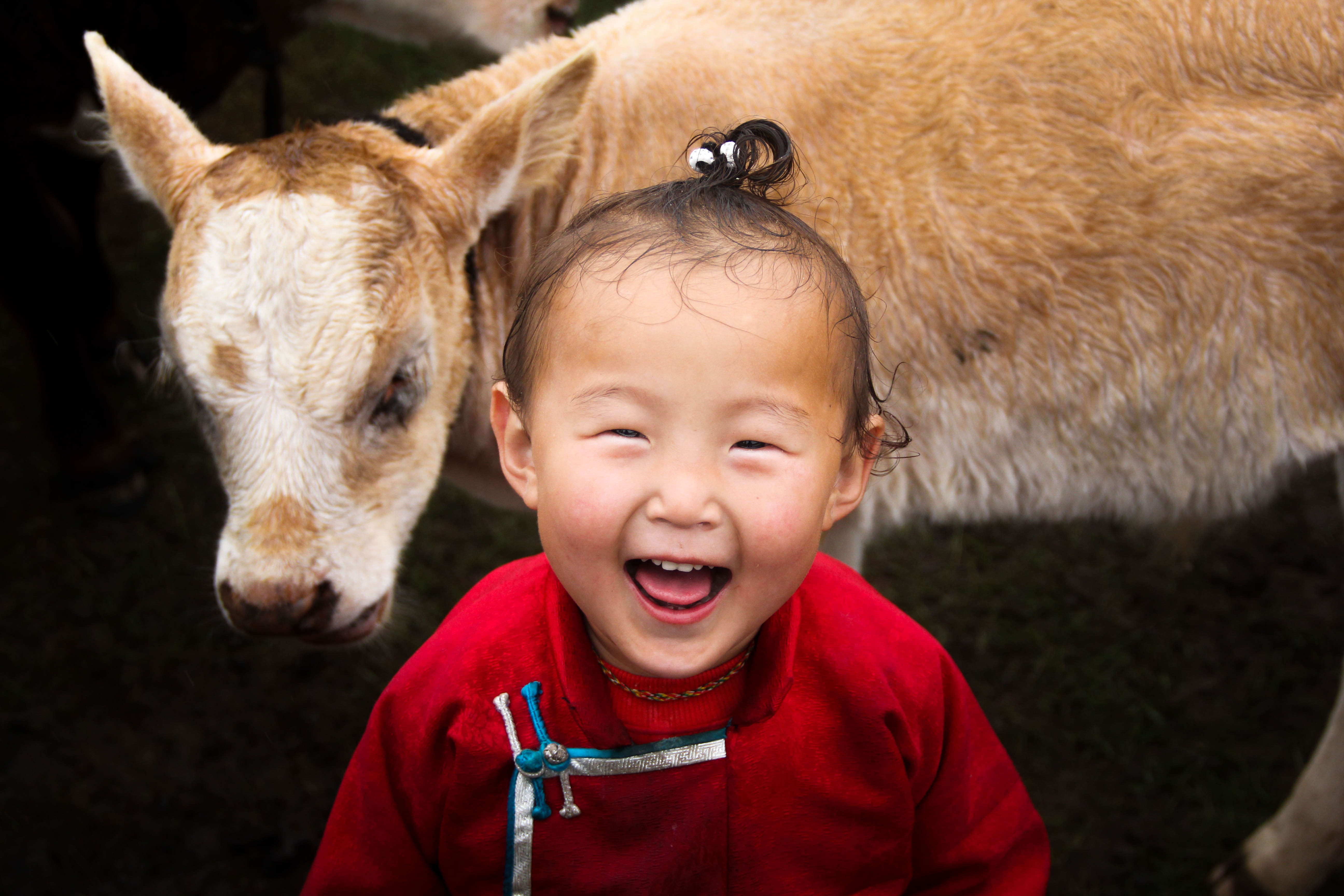 De l'Arkhangai au désert de Gobi