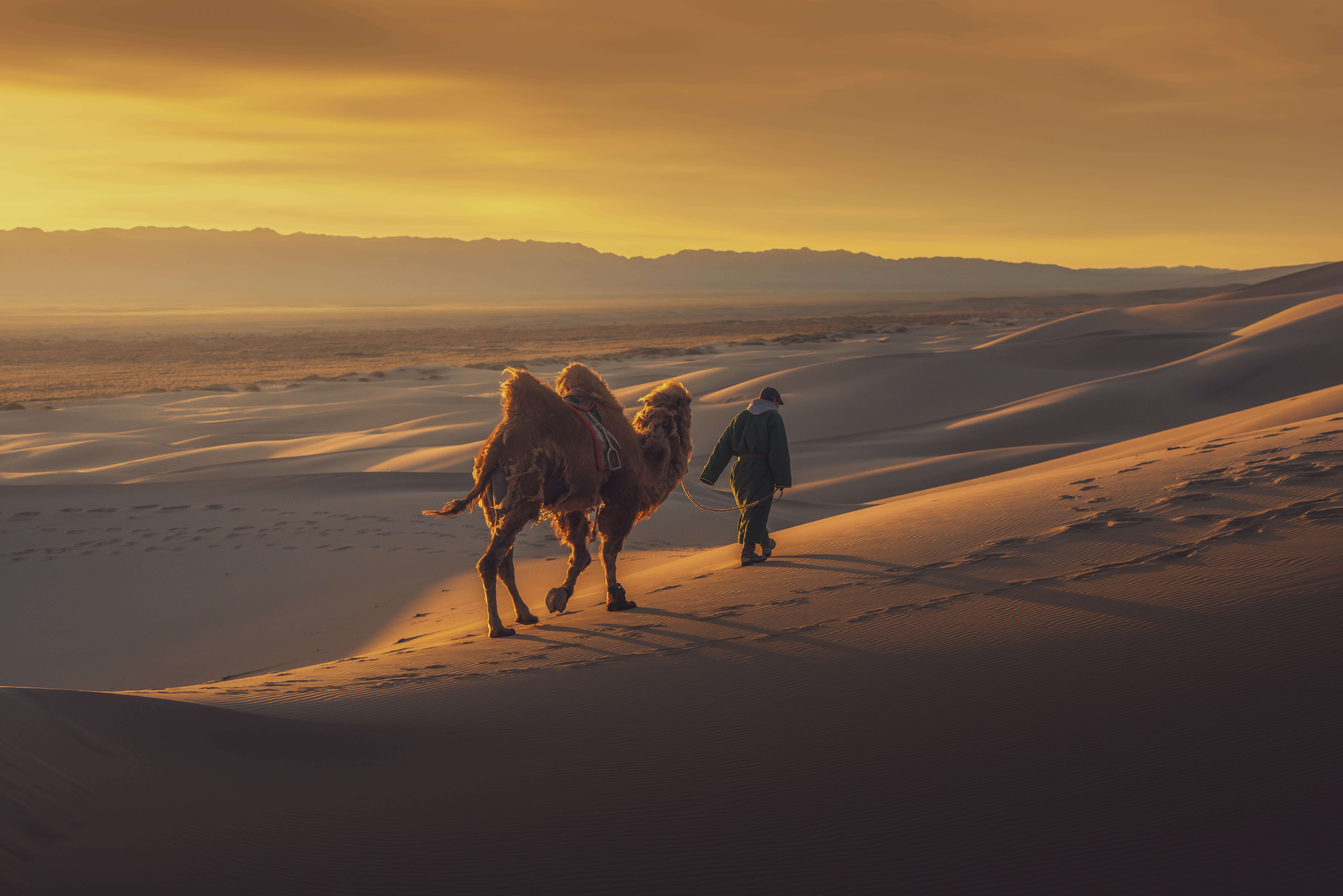 Image De l'Arkhangai au désert de Gobi