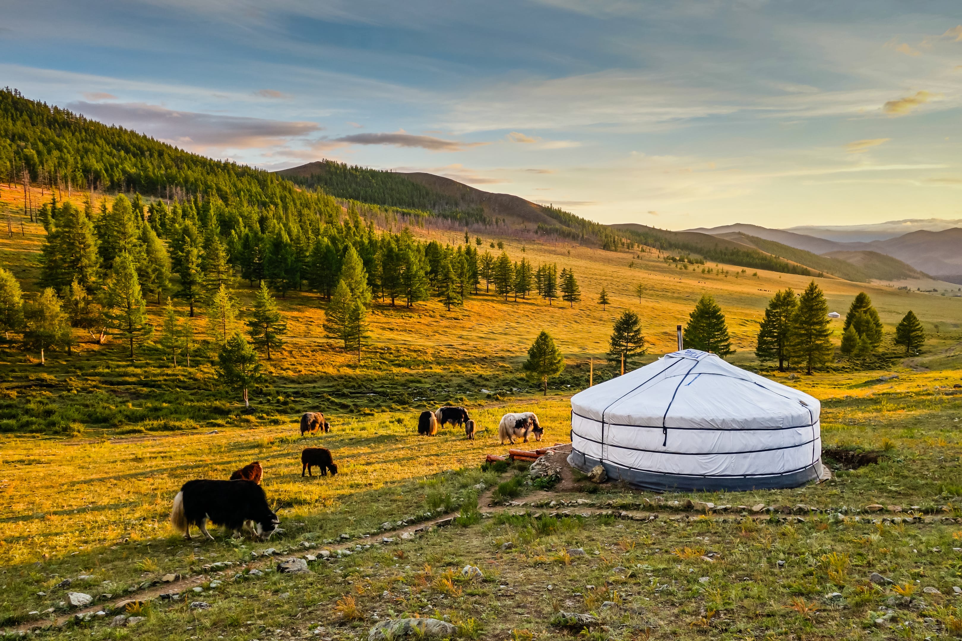 Image De l'Arkhangai au désert de Gobi
