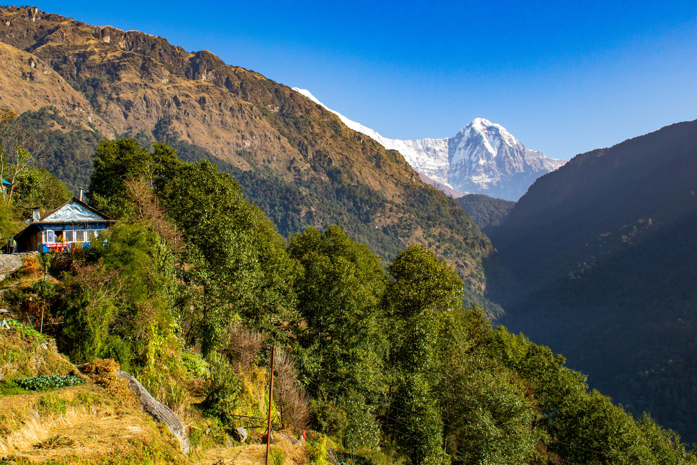 Image Des Annapurnas à Katmandou, à la croisée des chemins