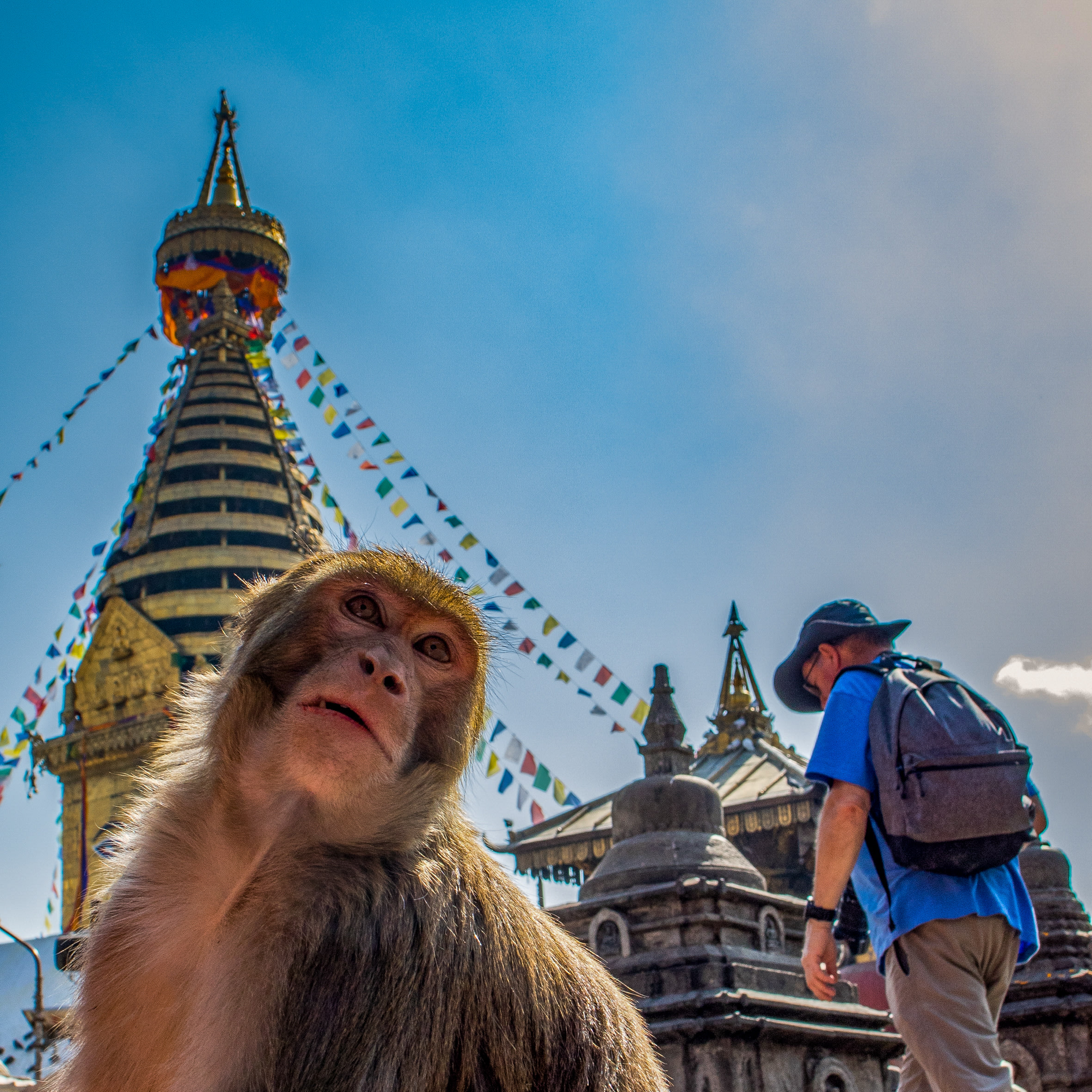 Image Tour des Annapurnas