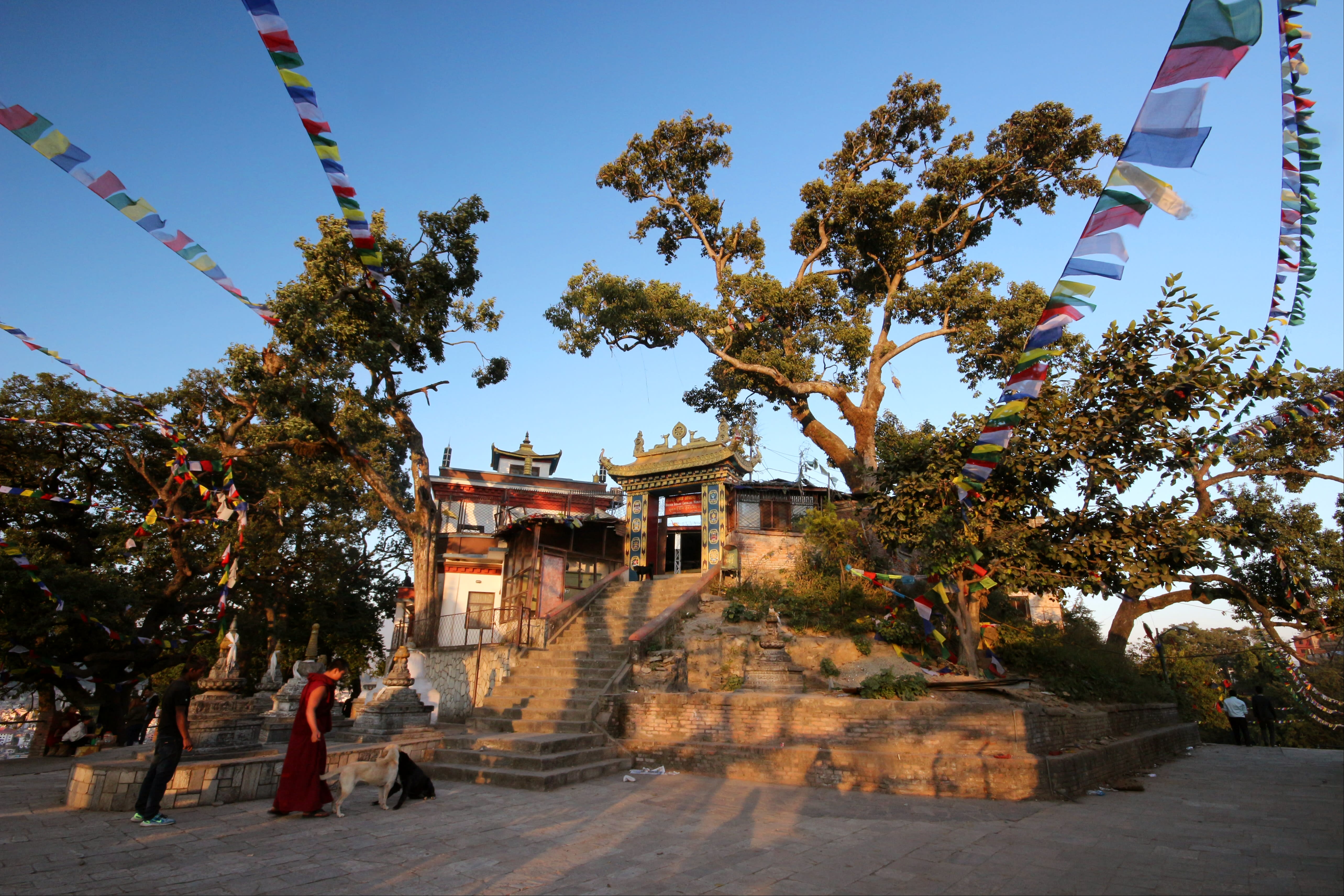 Image Des Annapurnas à Katmandou, à la croisée des chemins