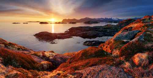 Image Senja, randonnées au coeur des Alpes de l'Arctique