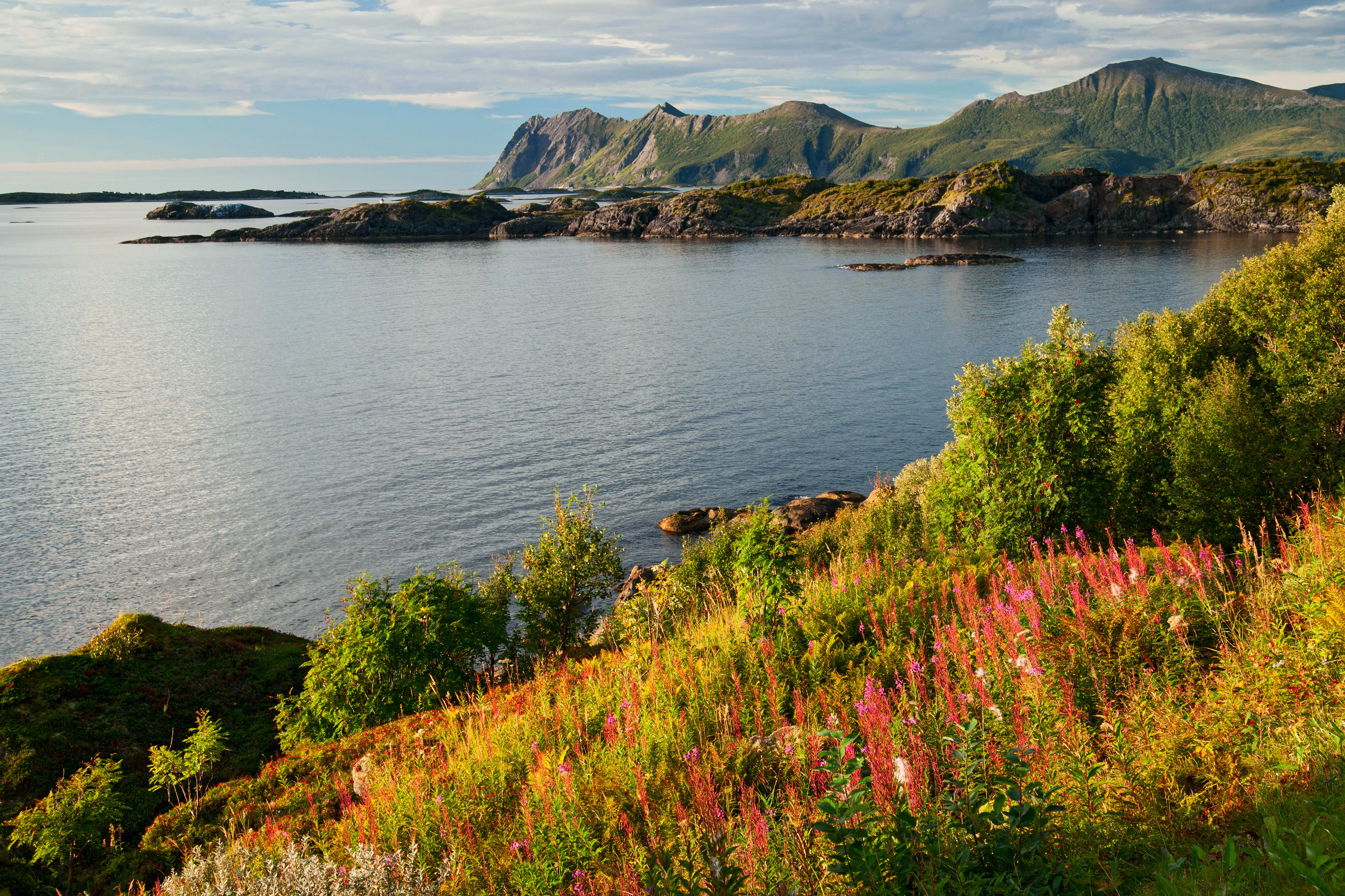 Image Sommets et crêtes des îles Lofoten