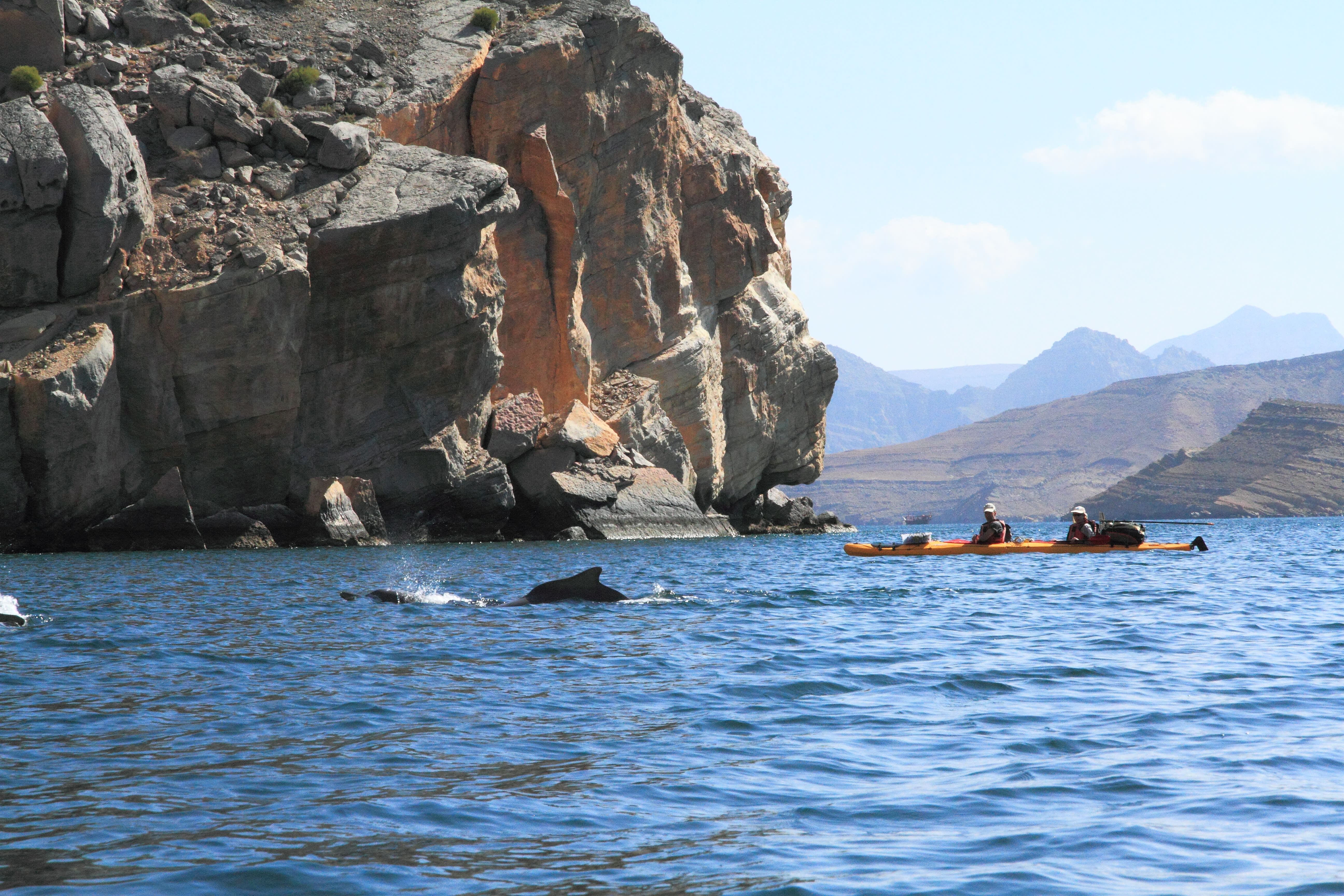 Image Kayak à Musandam