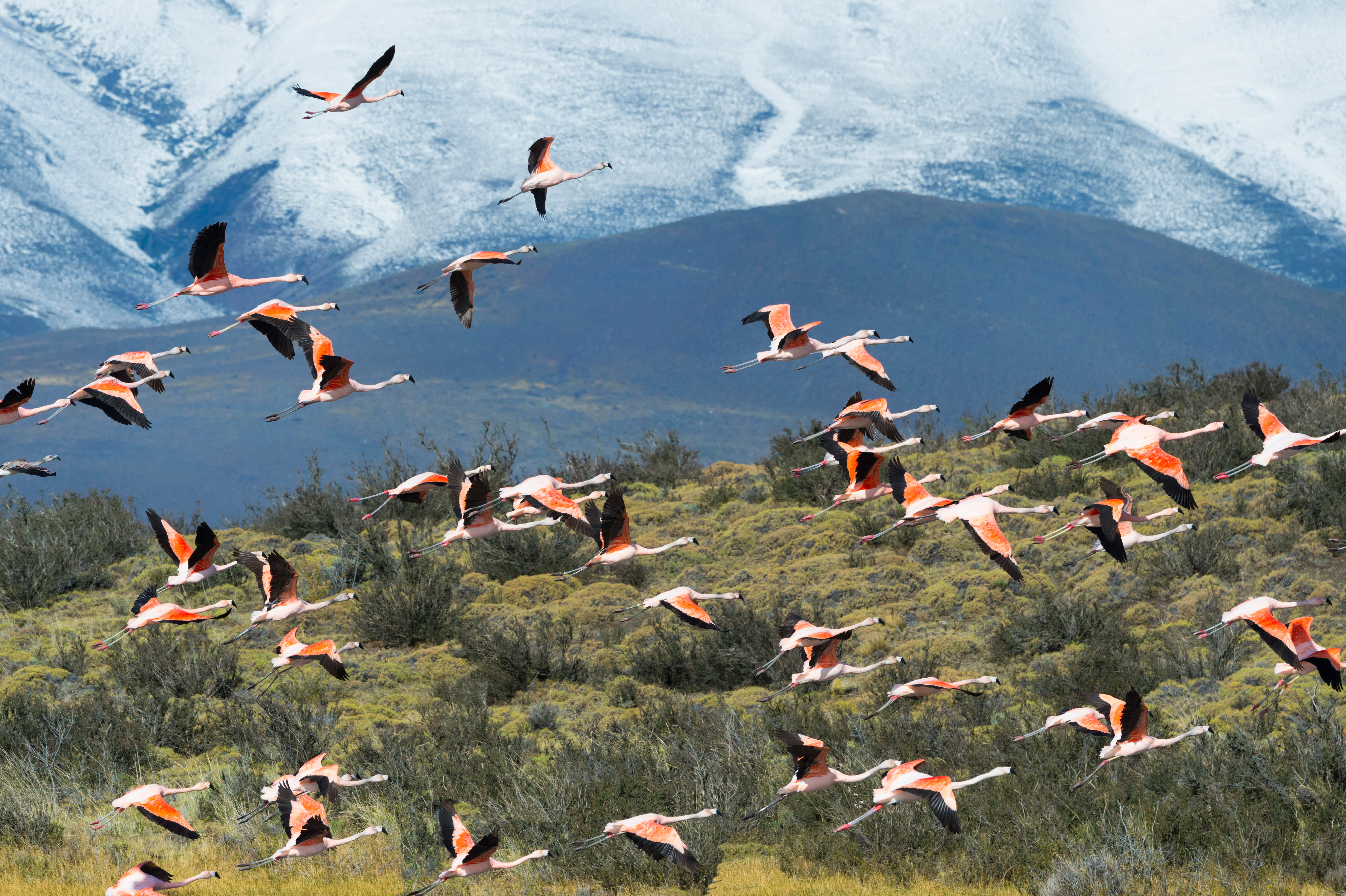 Image Patagonie, aux confins de la terre
