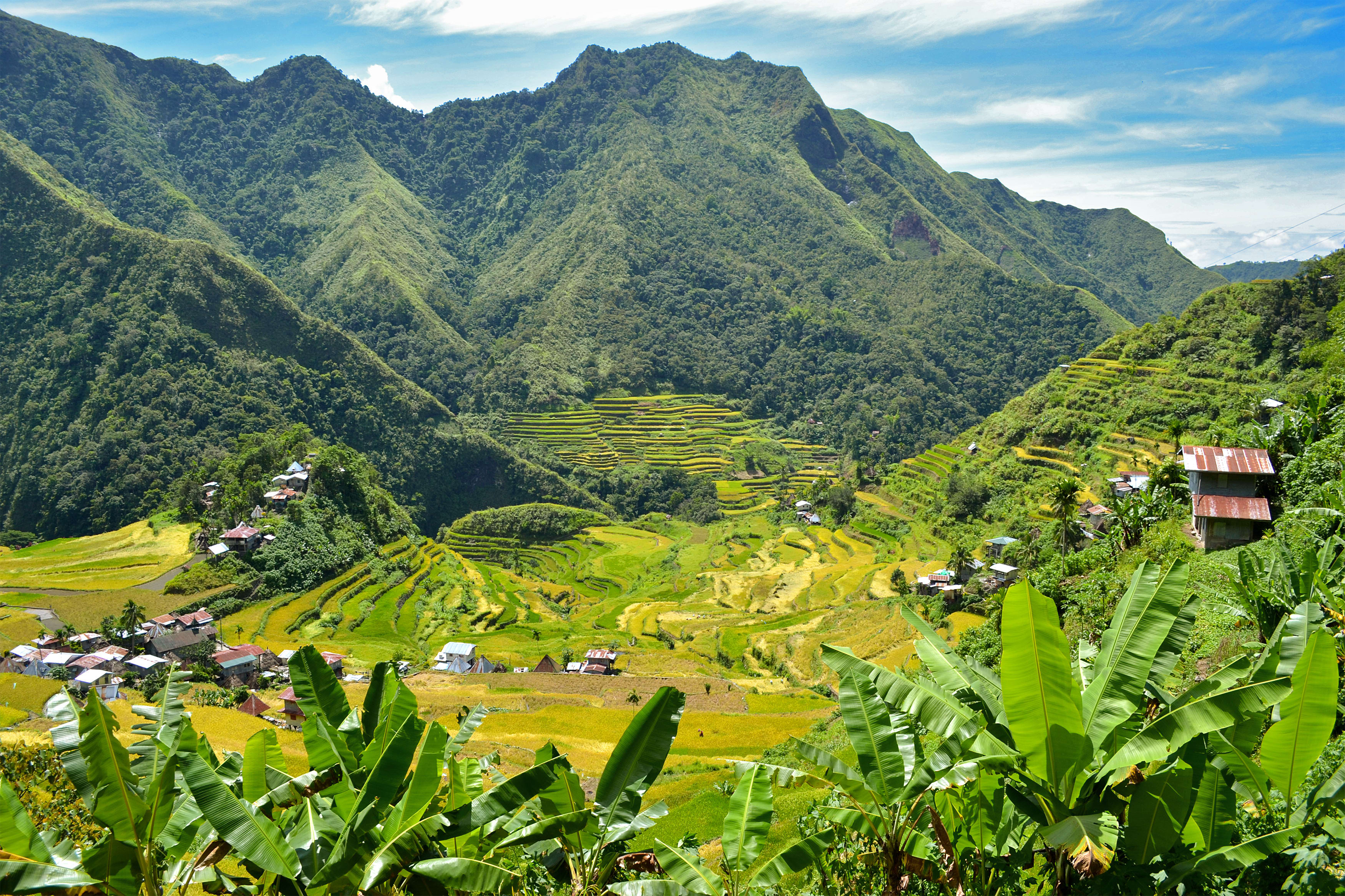 Image Des rizières de Luzon aux îles de Visayas
