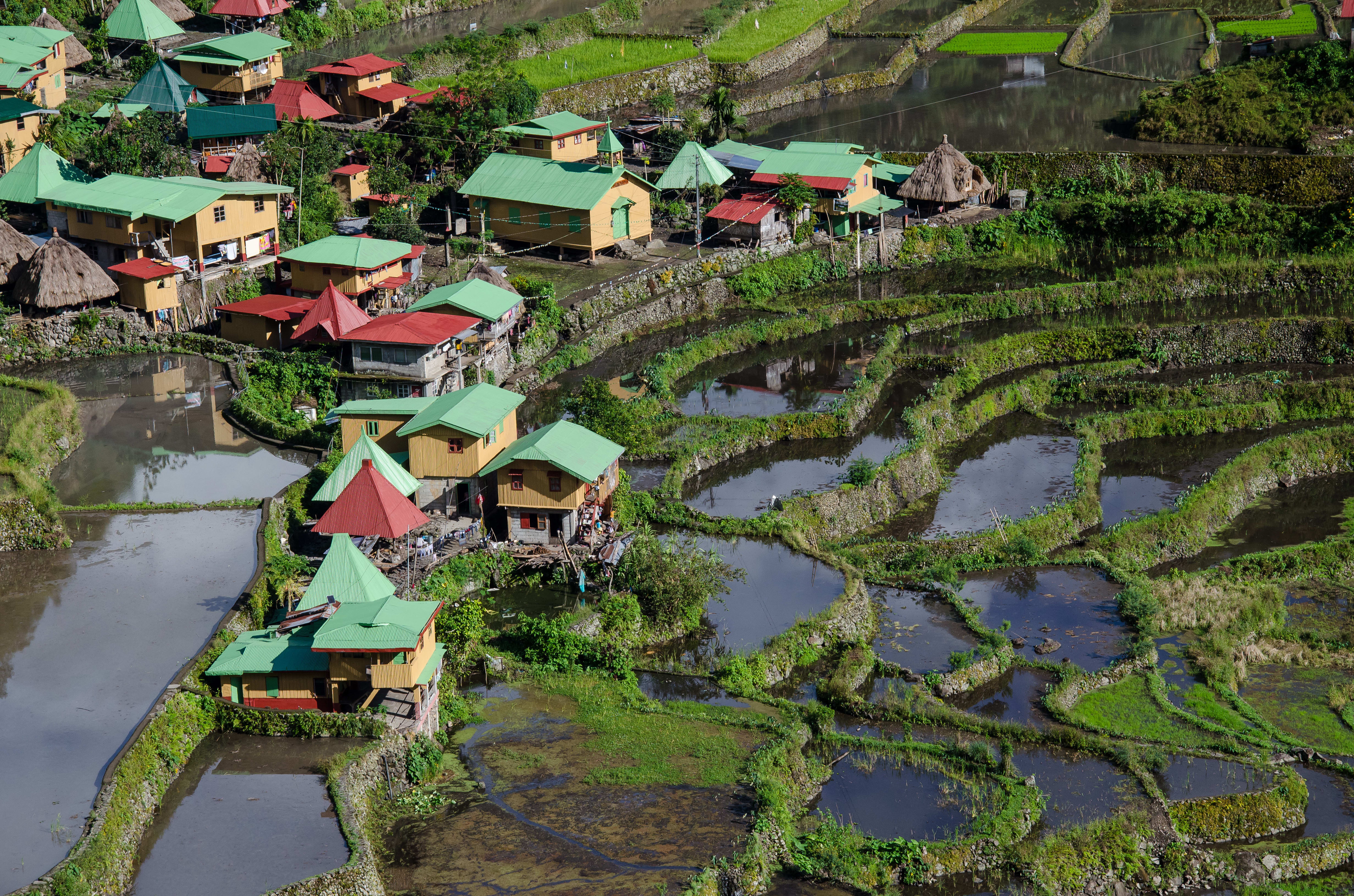 Image Des rizières de Luzon aux îles de Visayas