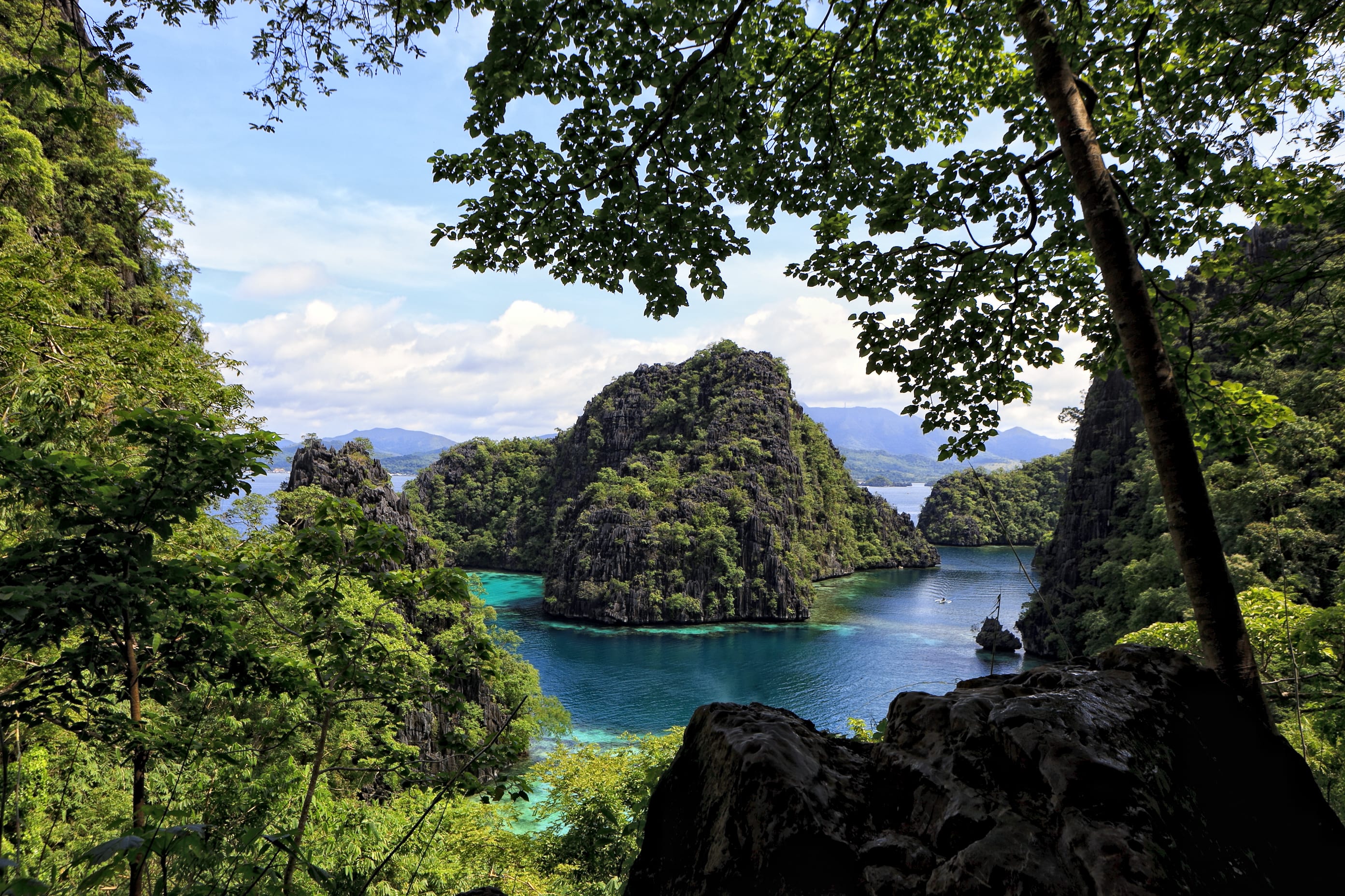 Image Des rizières de Luzon aux îles de Visayas