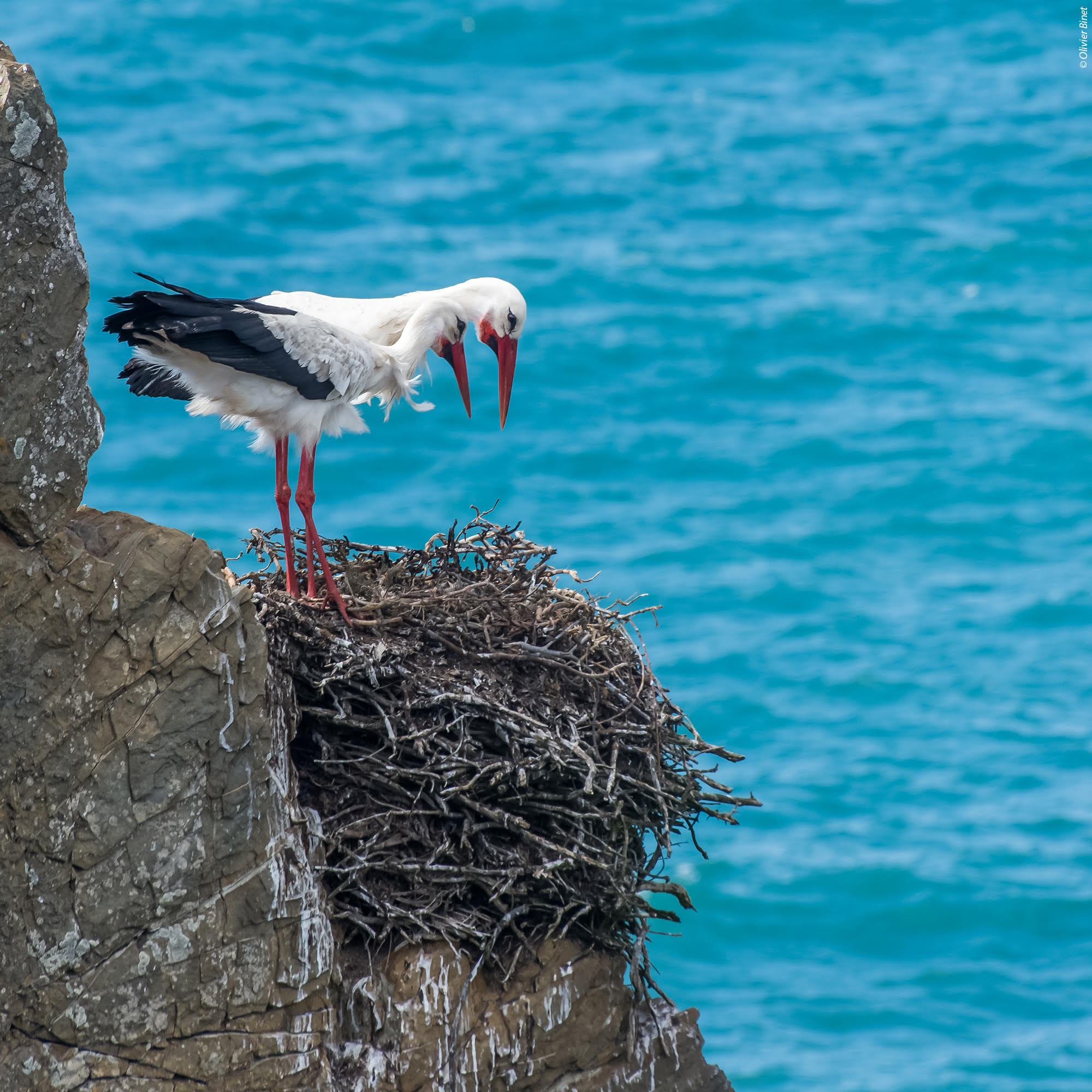 Image Sur le sentier des pêcheurs en Alentejo
