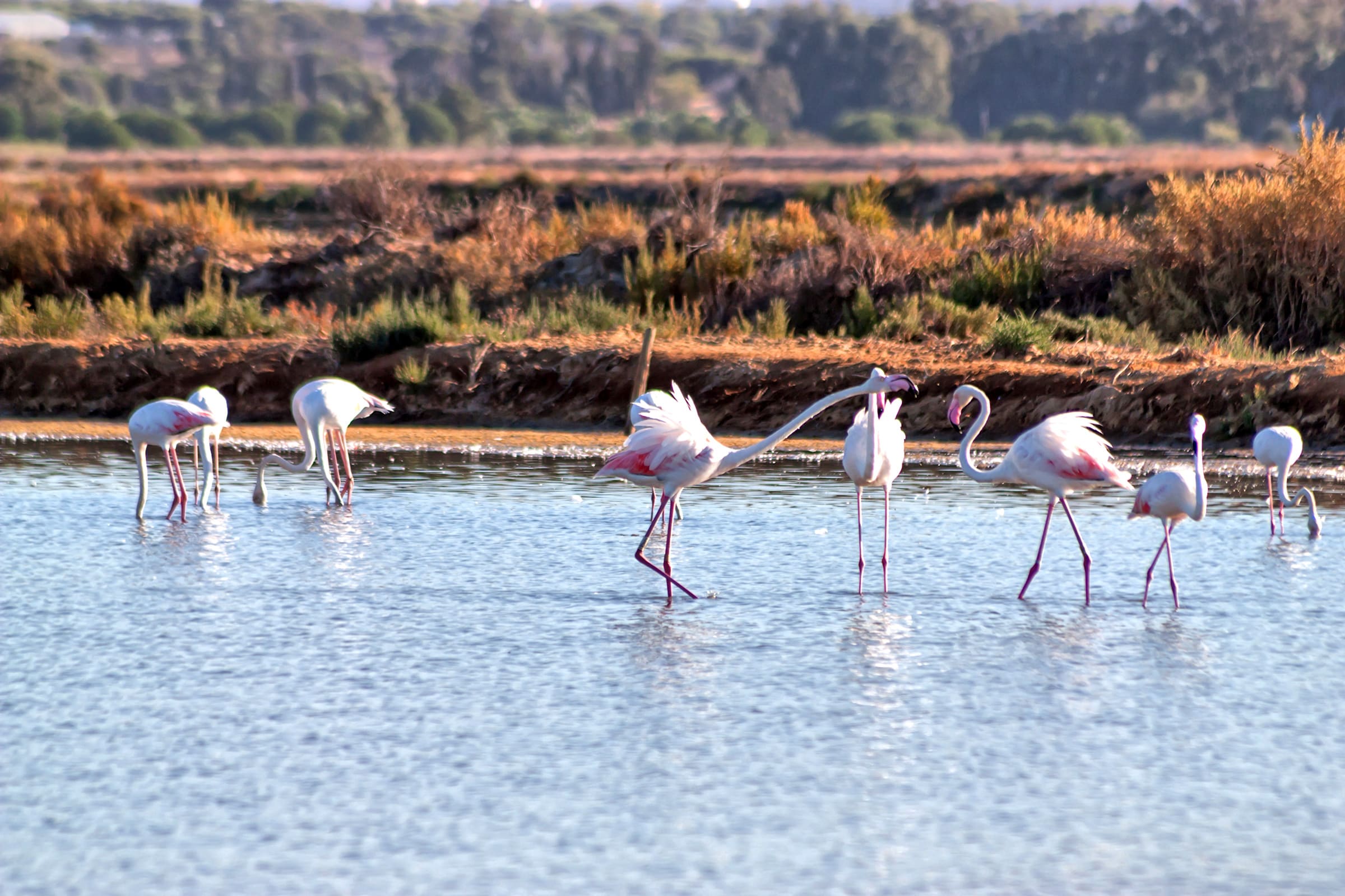 Image L'Algarve, d'est en ouest