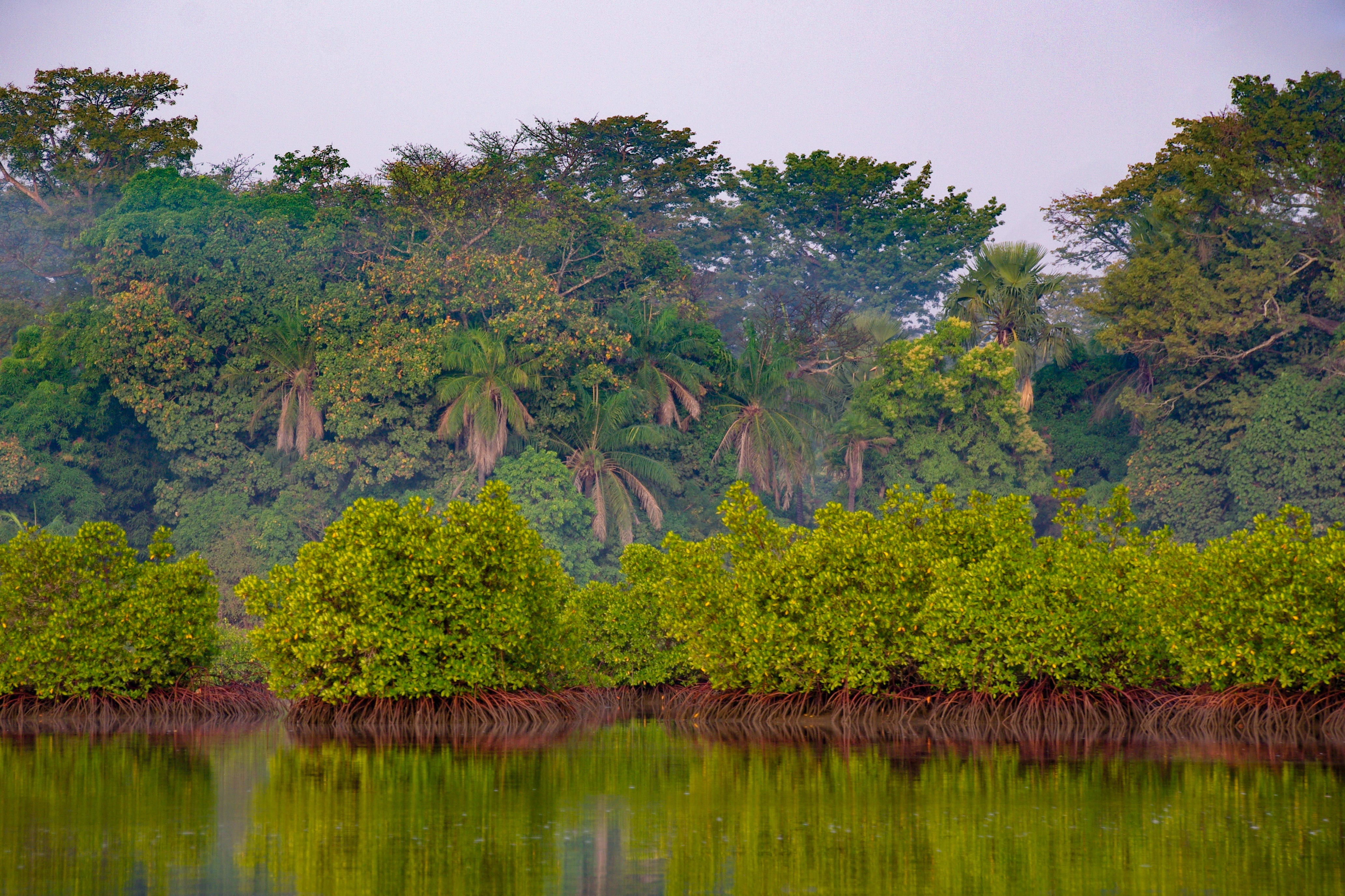 Image Rando-bateau dans le Siné Saloum