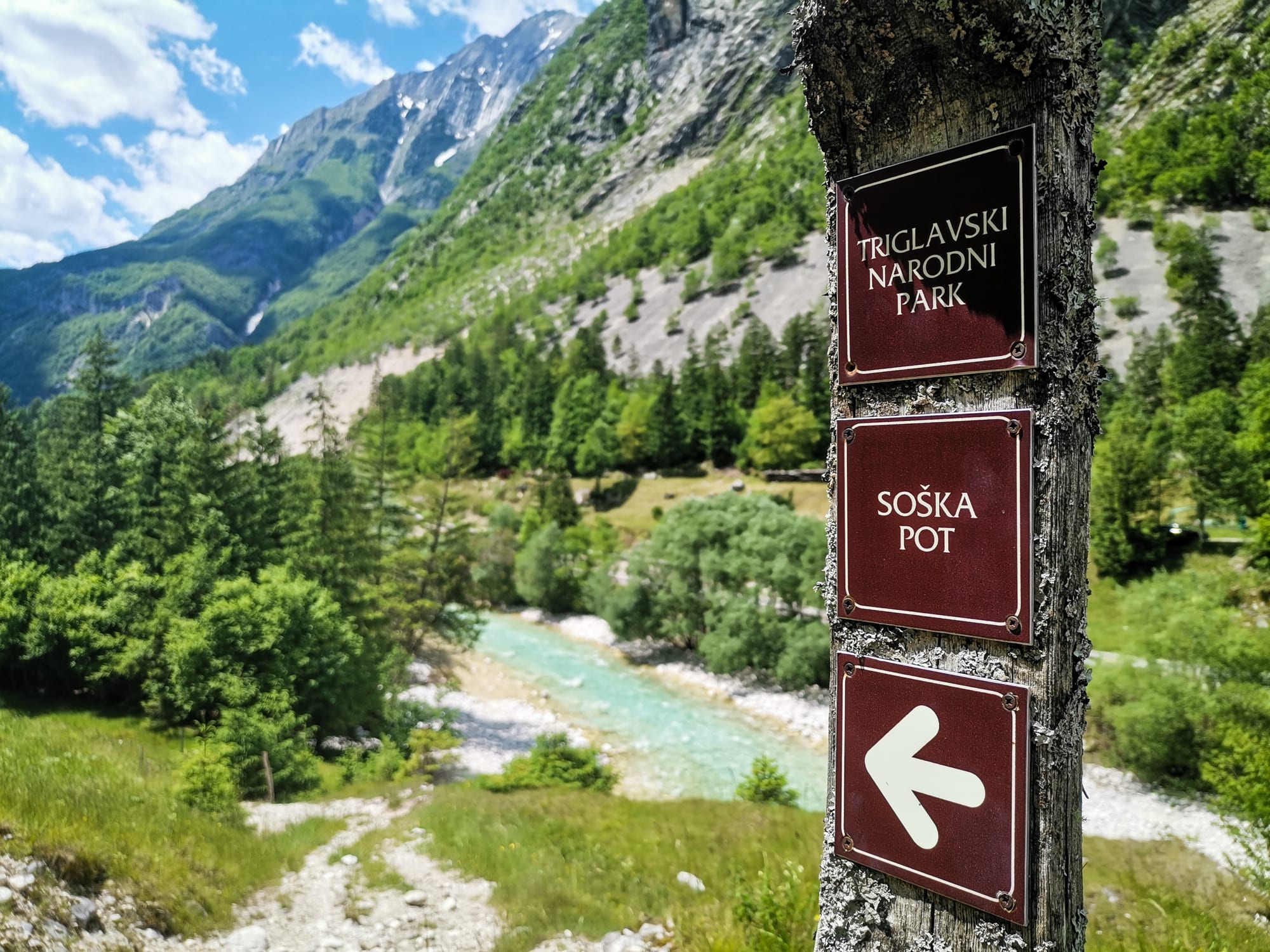 Image Échappée alpine au pays de l'ours