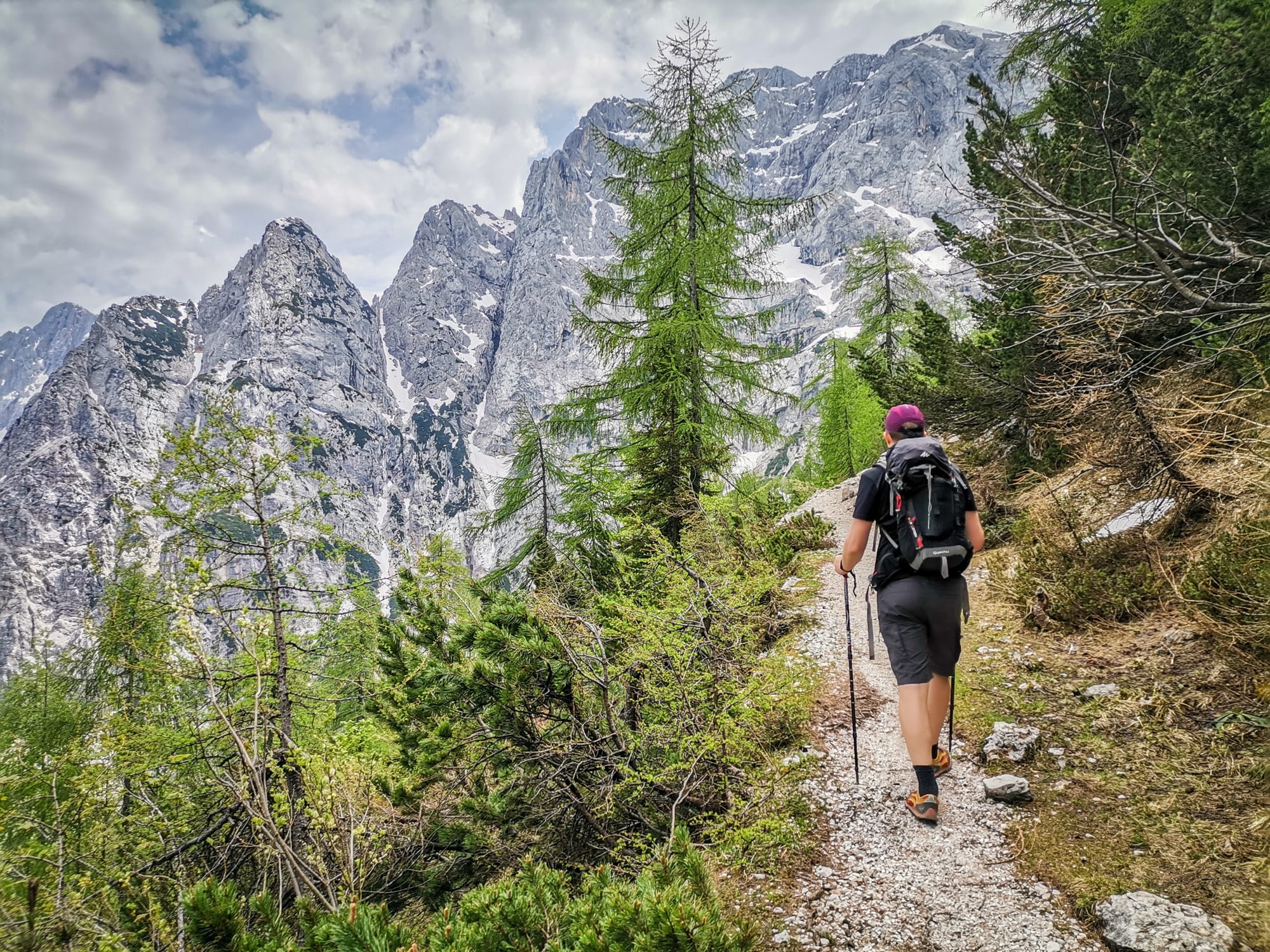 Image Échappée alpine au pays de l'ours