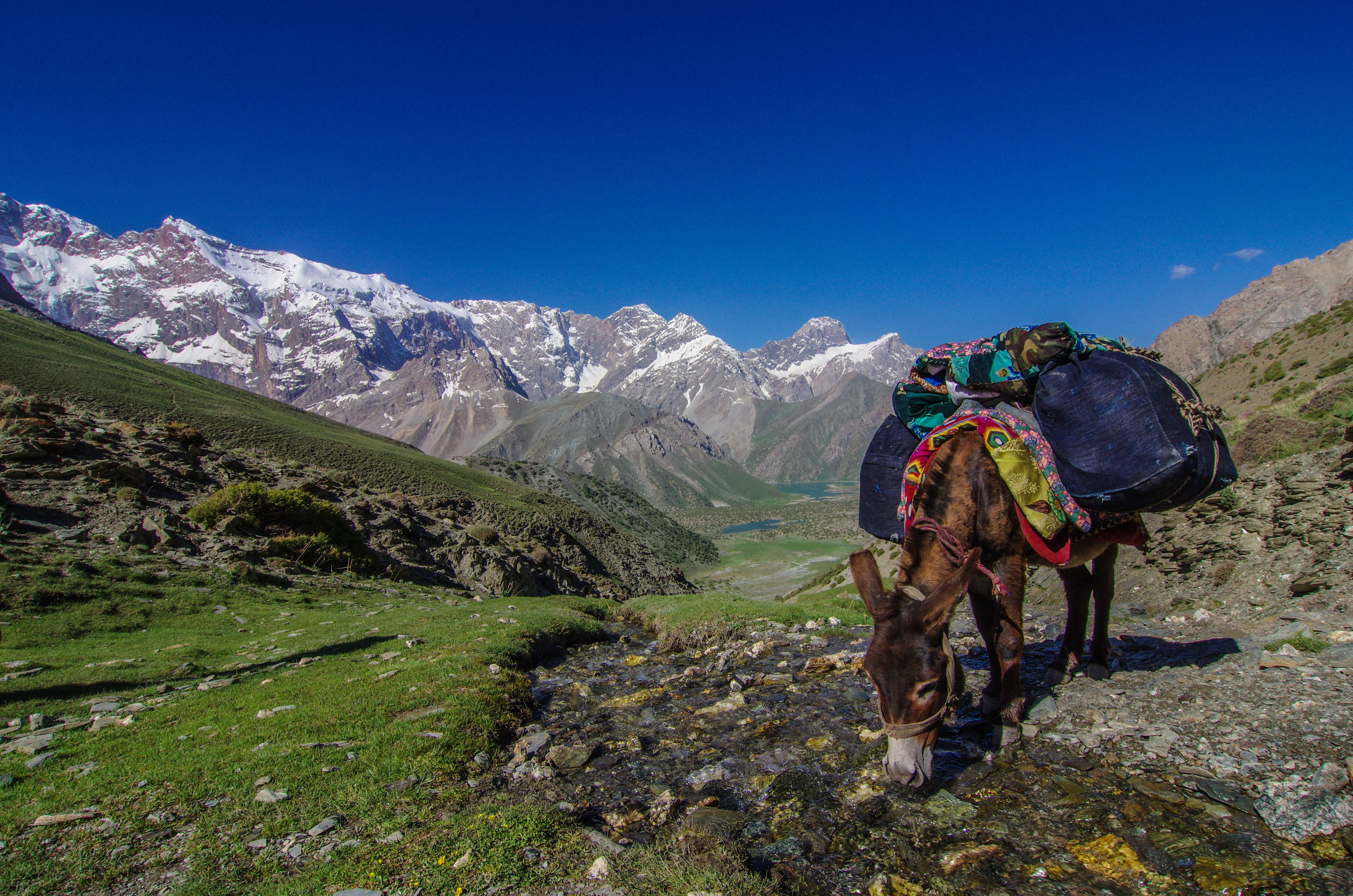 Image Sentiers oubliés du Pamir et Route légendaire de Samarkand