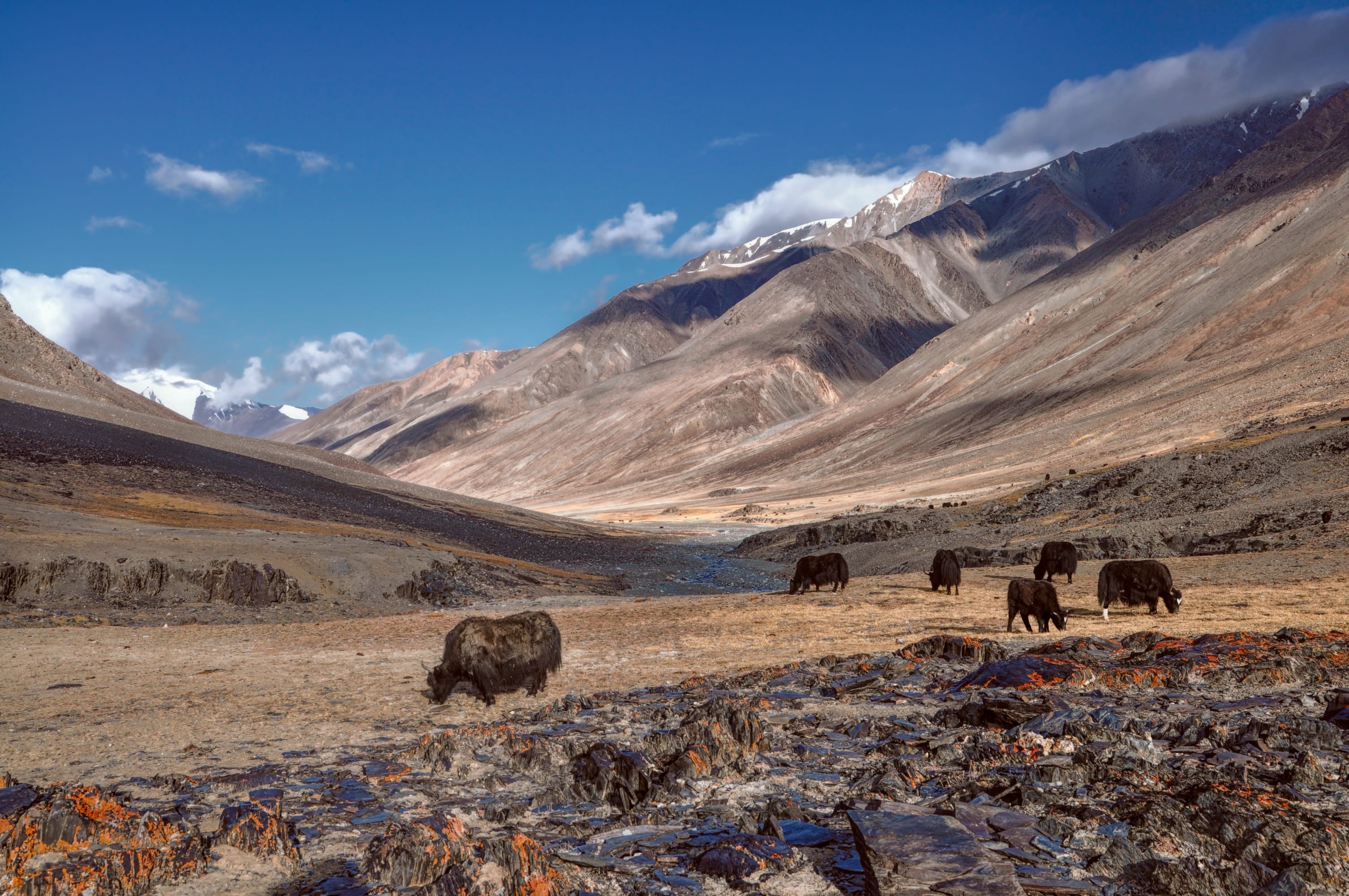 Image Sentiers oubliés du Pamir et Route légendaire de Samarkand