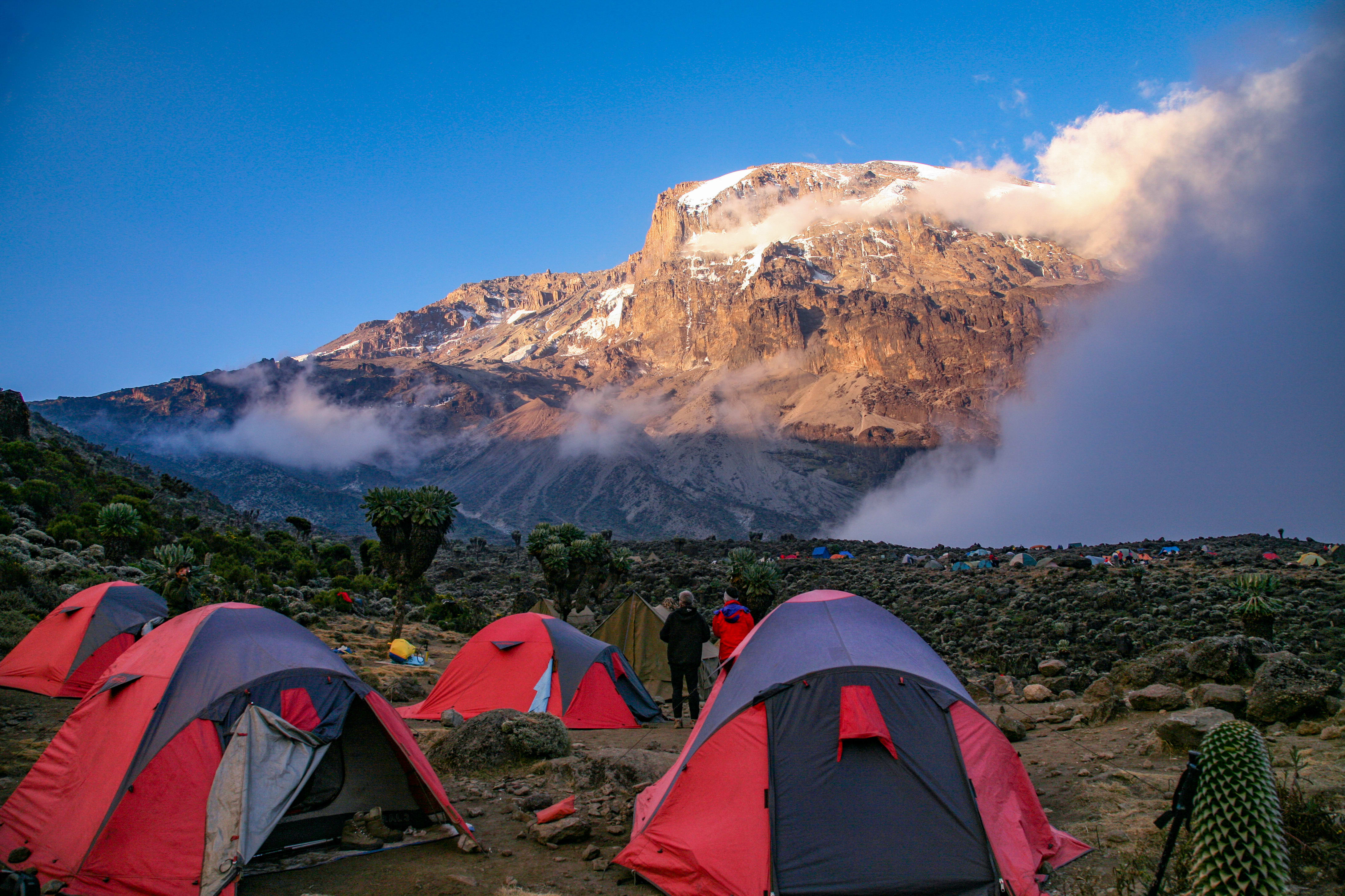 Image Ascension du Kilimandjaro, voie Machamé