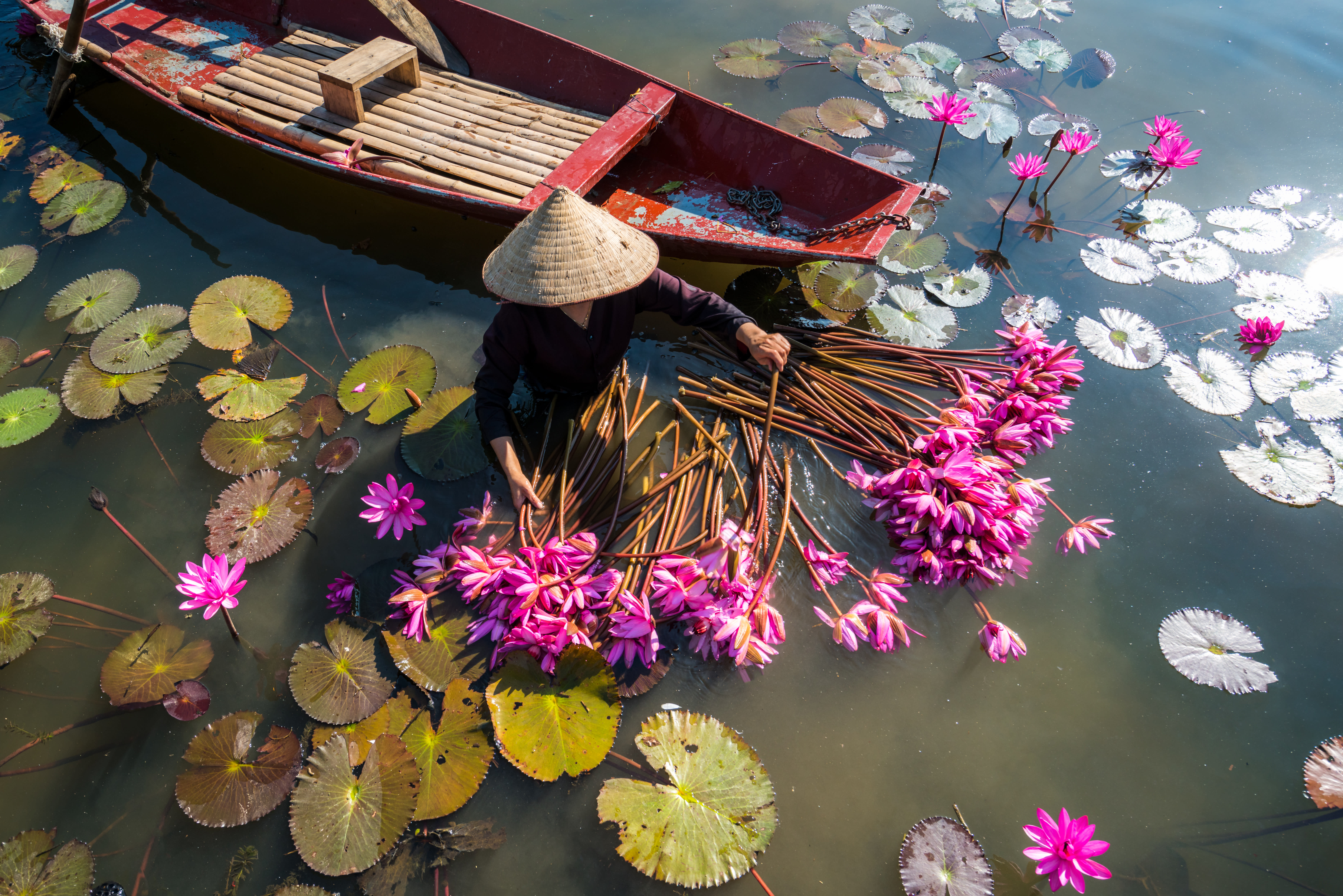 Image Voyage en Indochine...