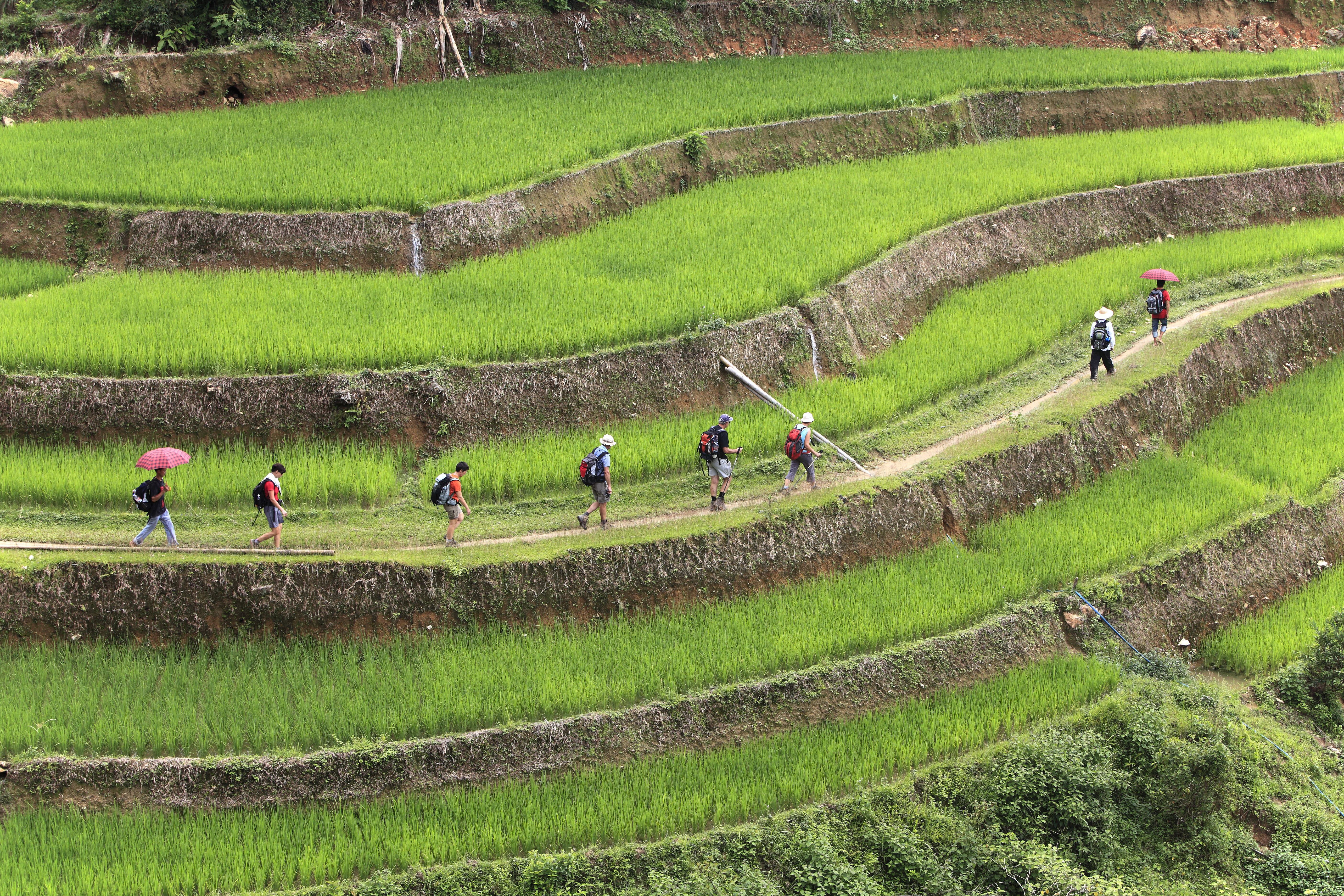 Image Voyage en Indochine...