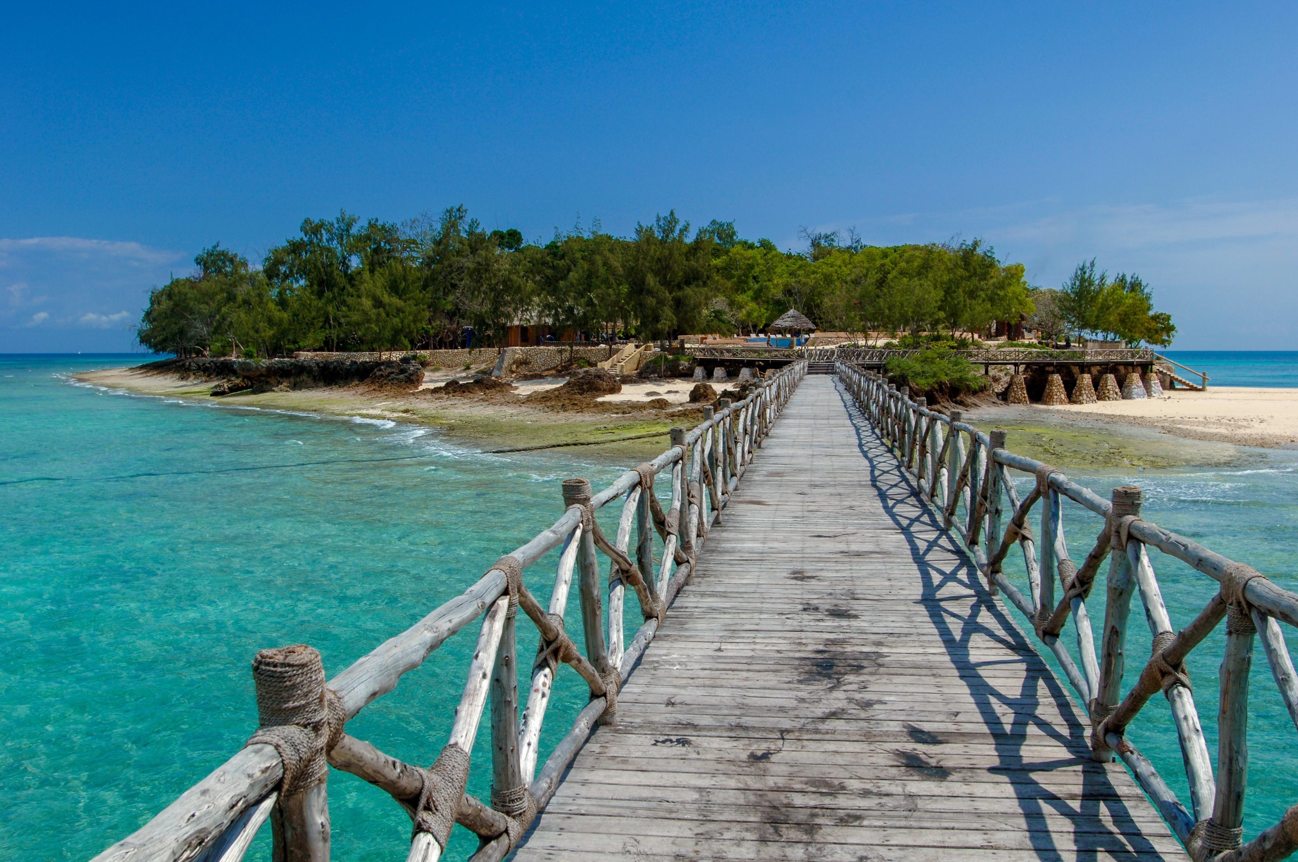 Image Safari dans les Parcs et baignades à Zanzibar