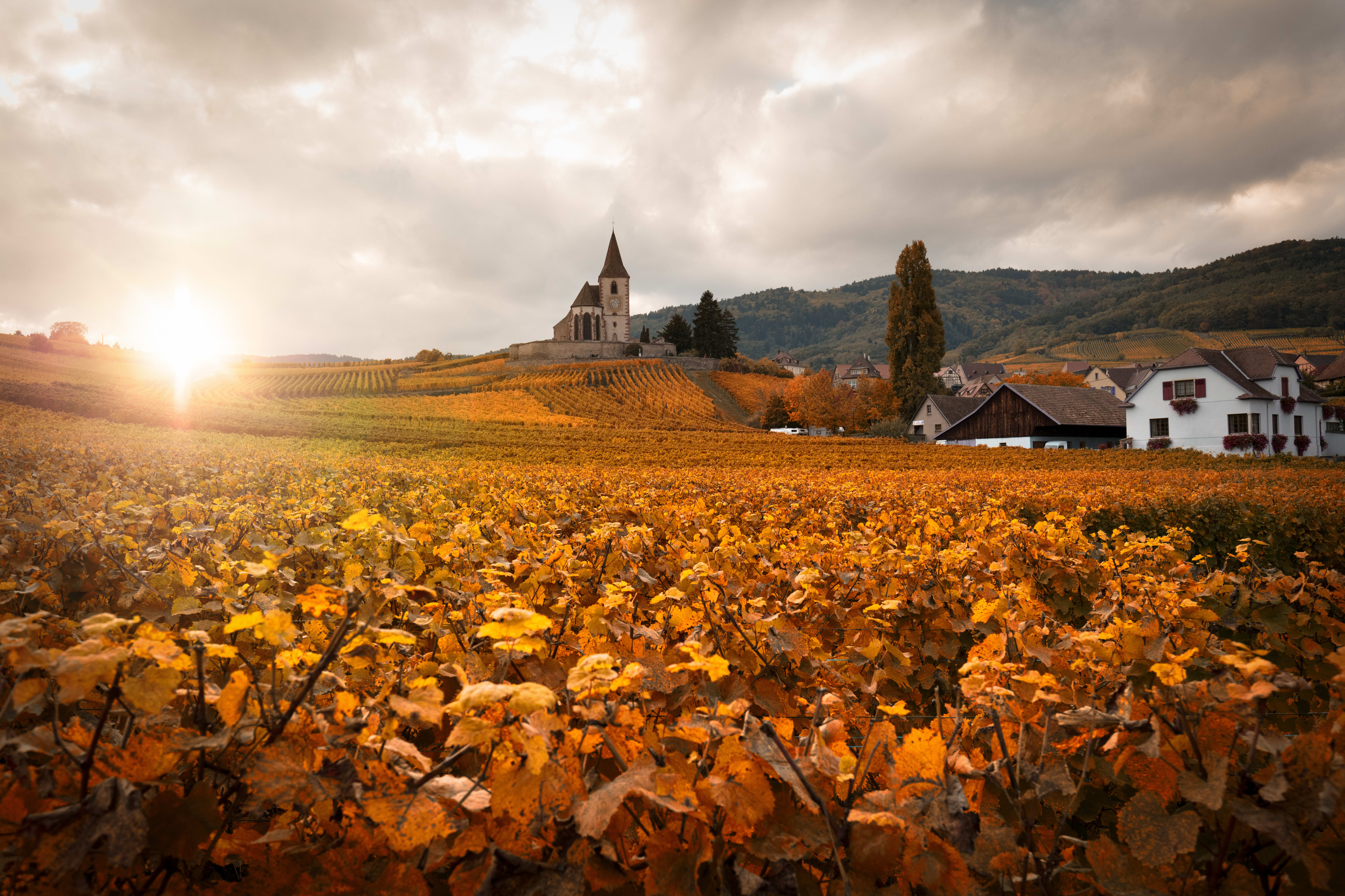 Image Nouvel An au cœur de l'Alsace traditionnelle