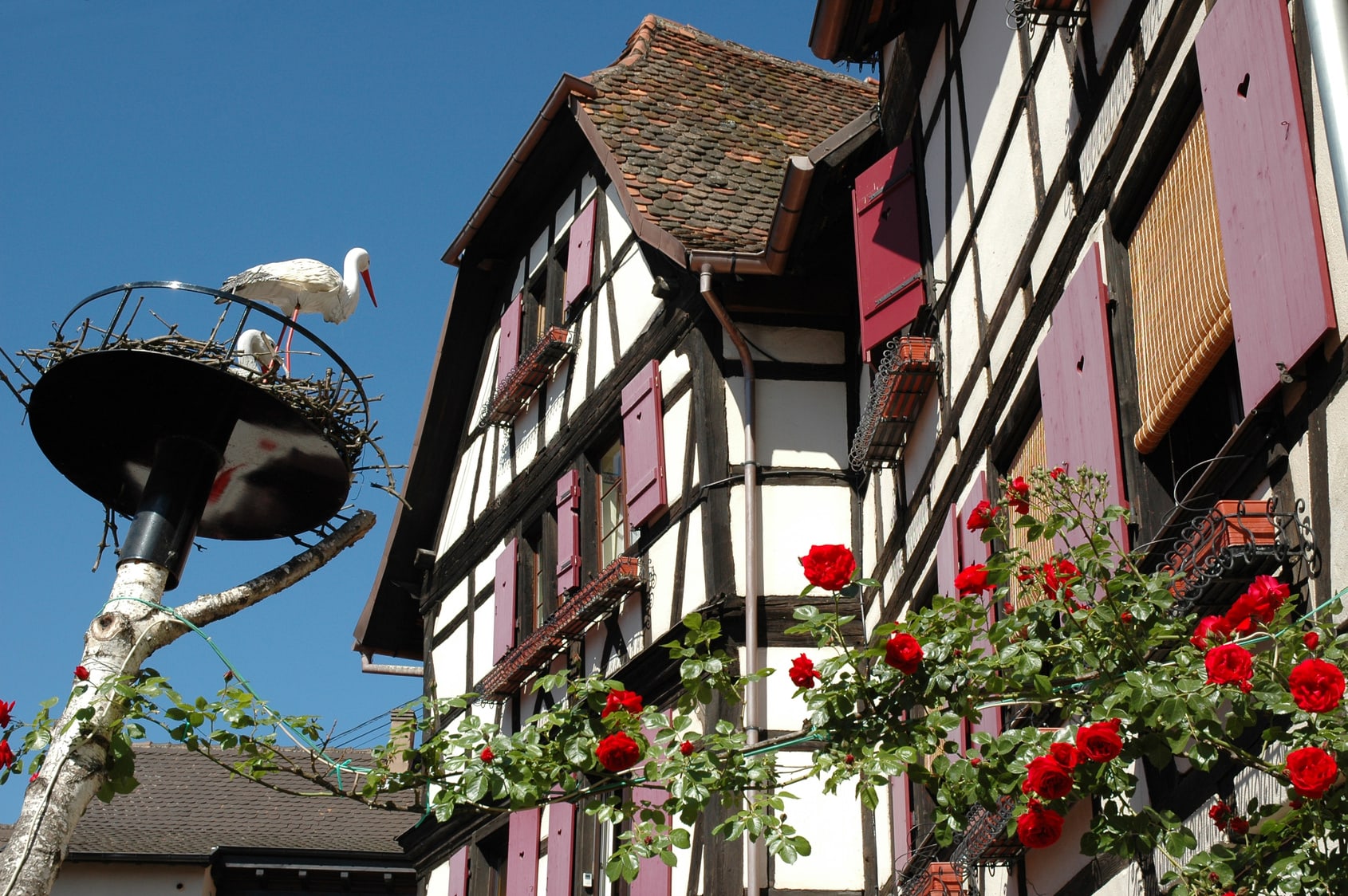Image Alsace, par Vignes et Villages à vélo