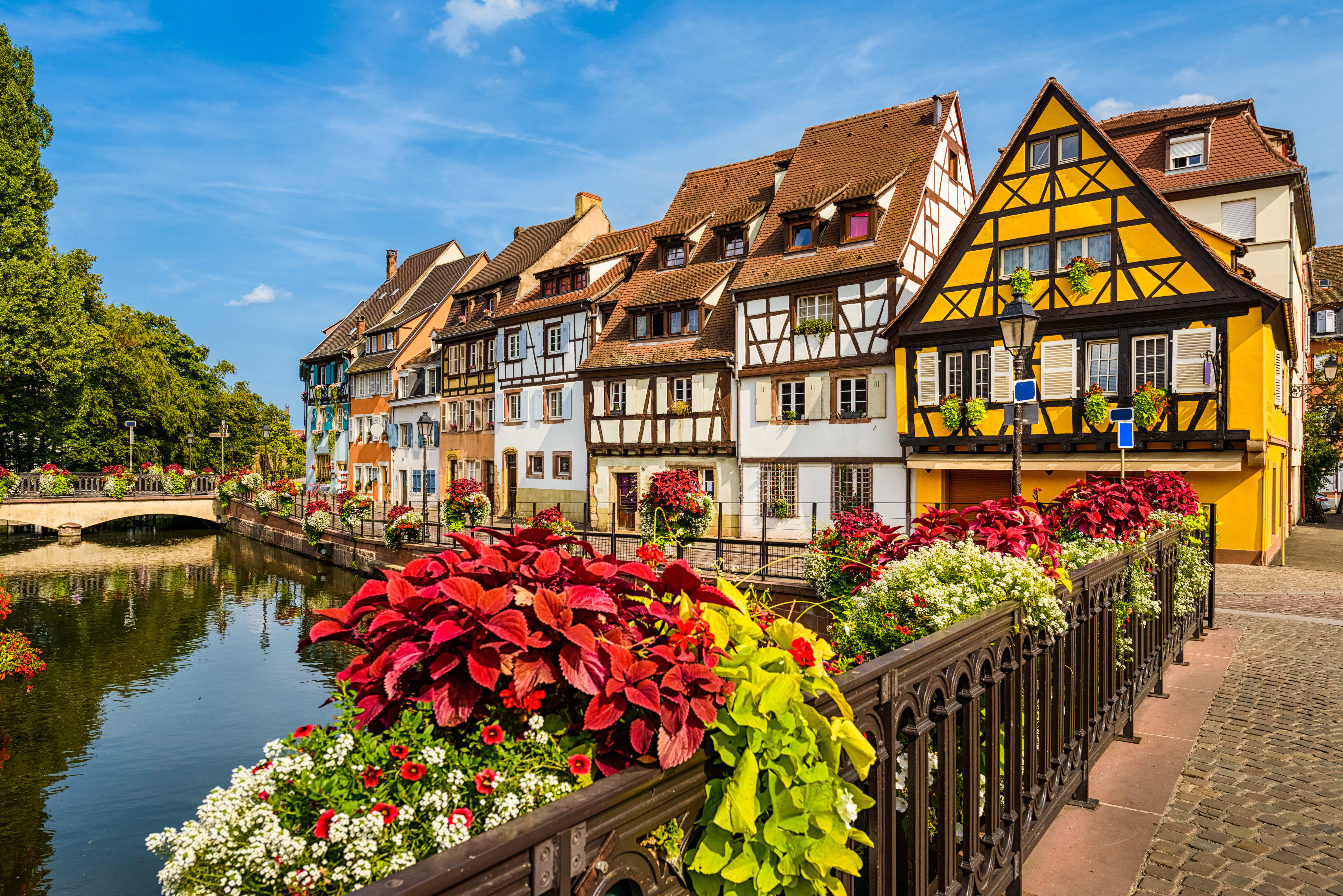Image Alsace, par Vignes et Villages à vélo