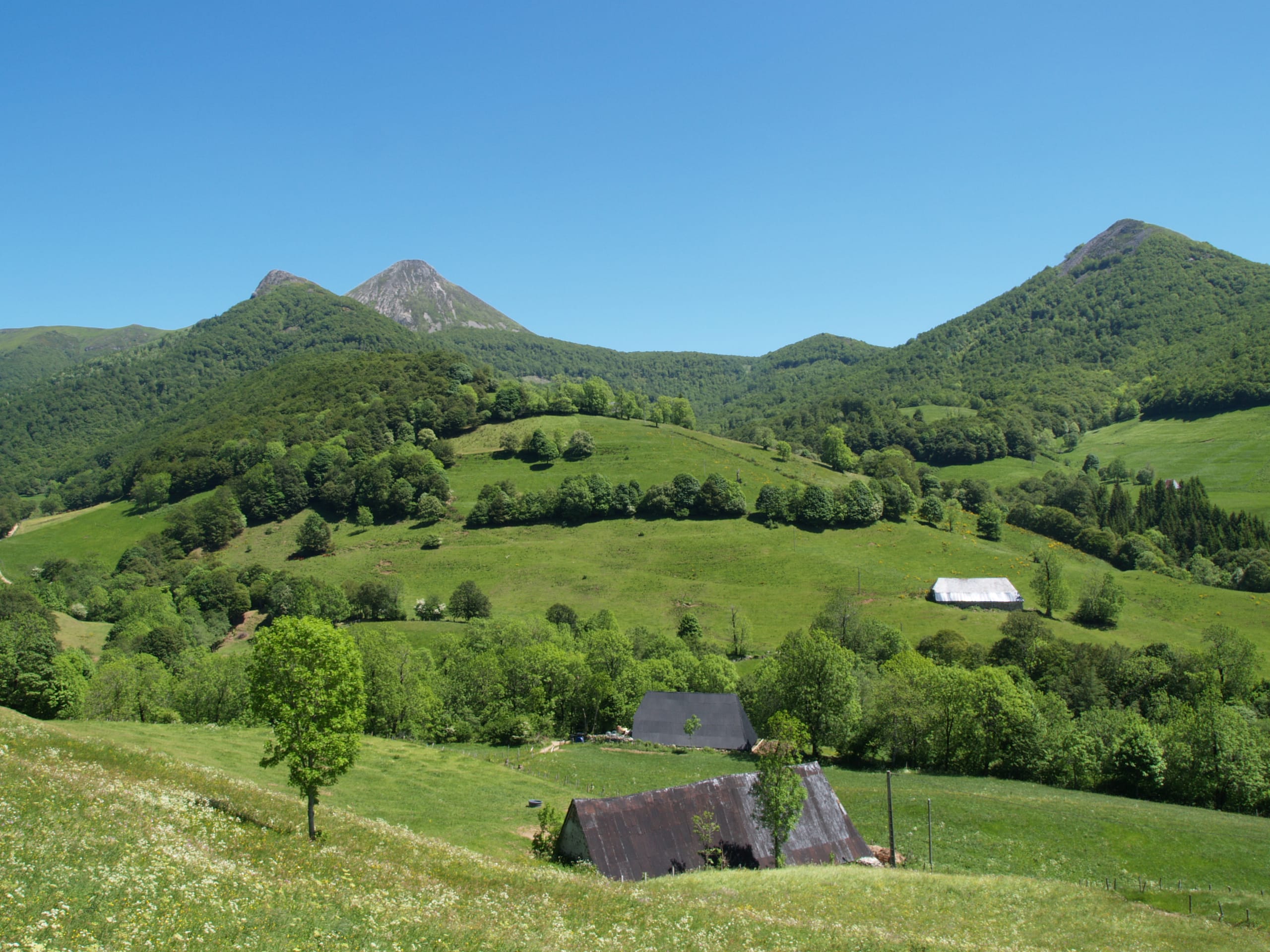 Image Authentique Cantal, volcans grandeur nature !