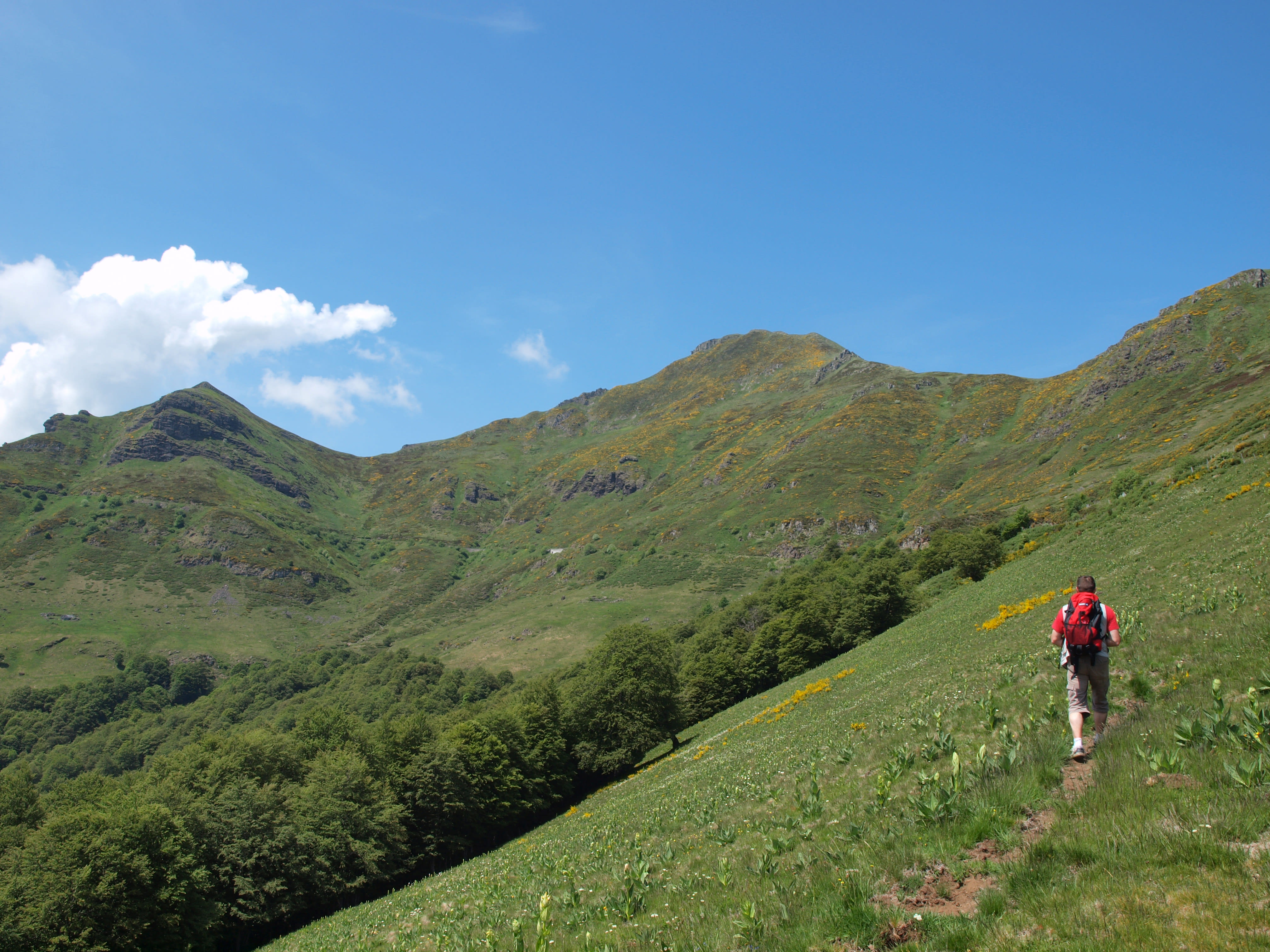 Image Authentique Cantal, volcans grandeur nature !