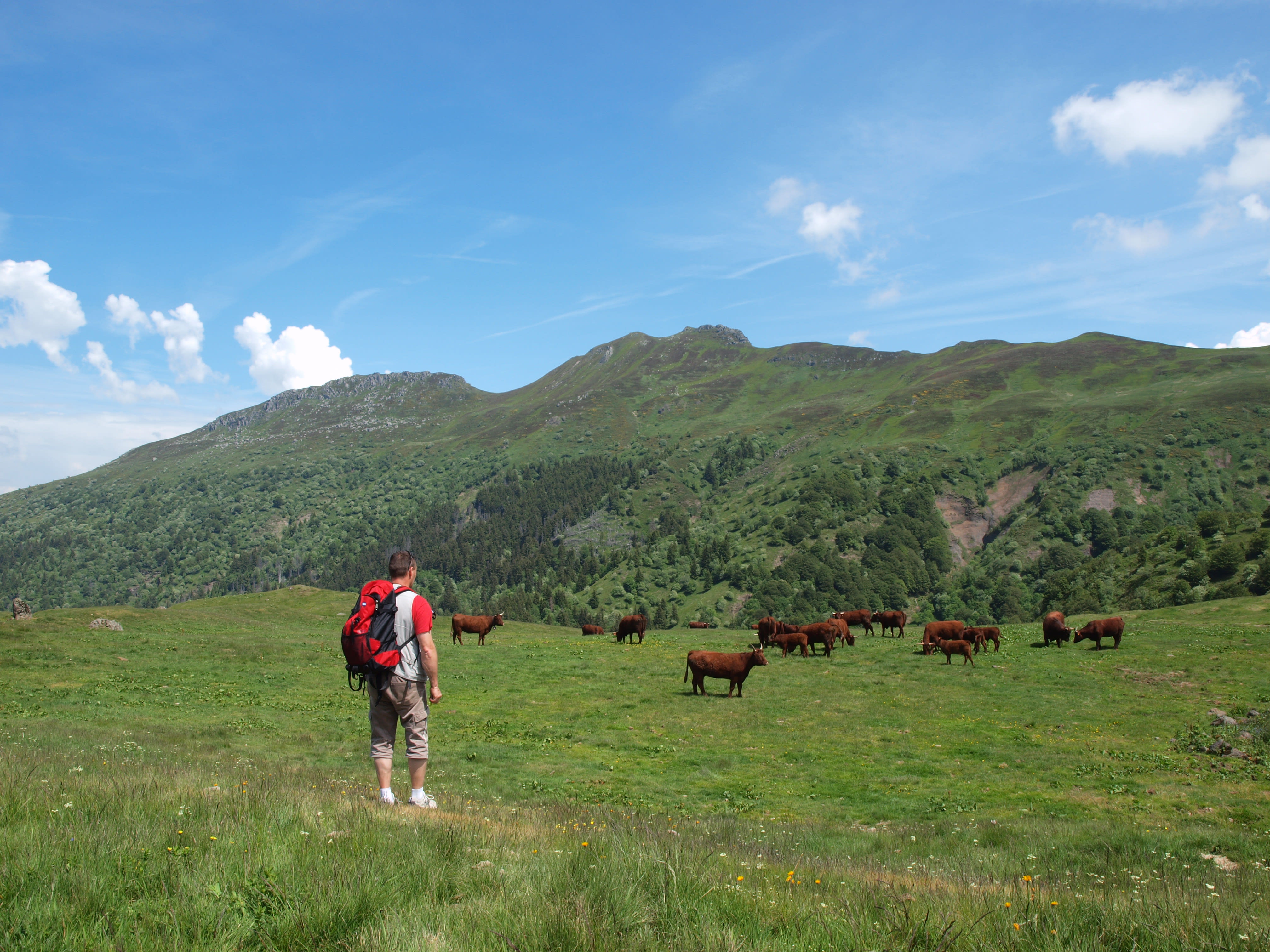 Image Authentique Cantal, volcans grandeur nature !