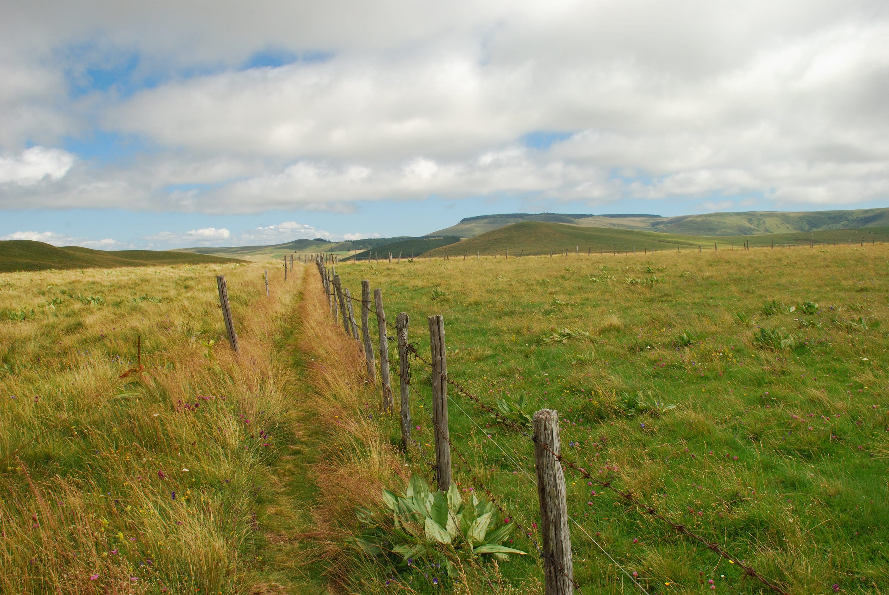 Image Auvergne Le Parc des Volcans du Sancy au Cantal