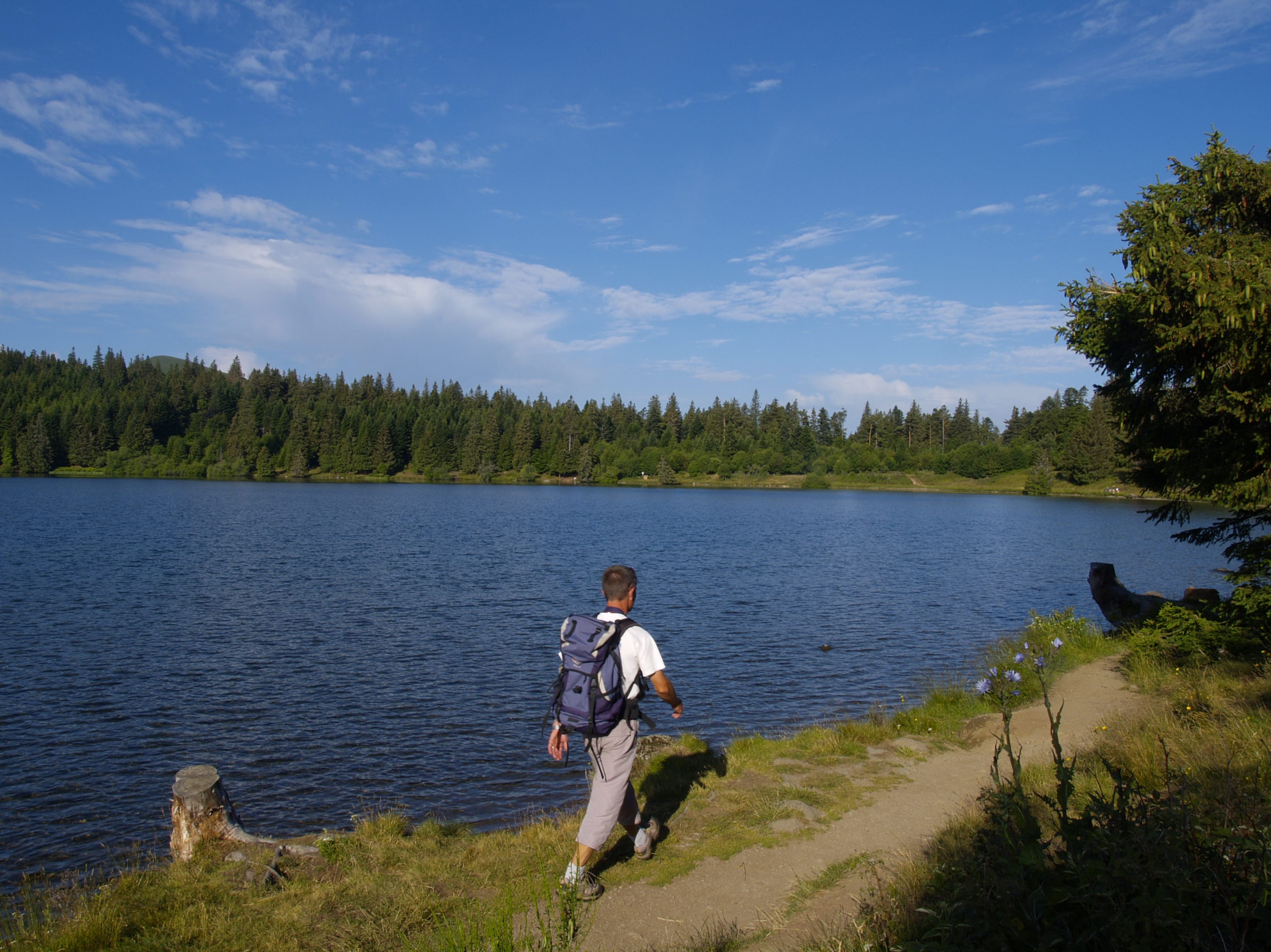 Image Aventure au pays des volcans en famille