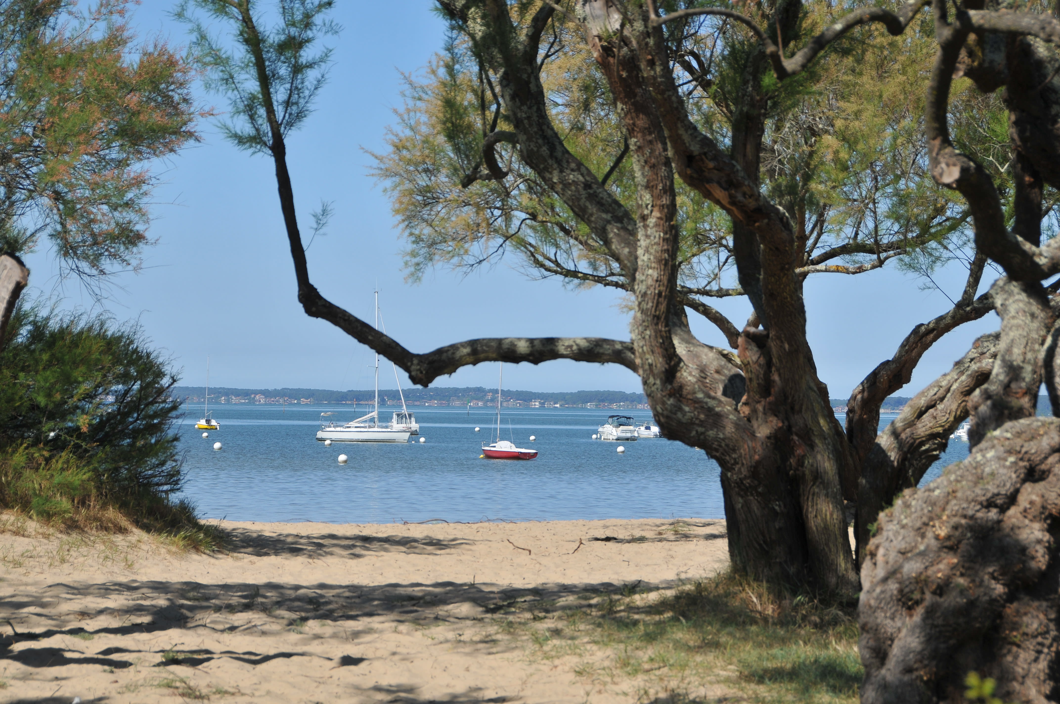 Image De la dune du Pilat au Cap Ferret, le tour du bassin d'Arcachon
