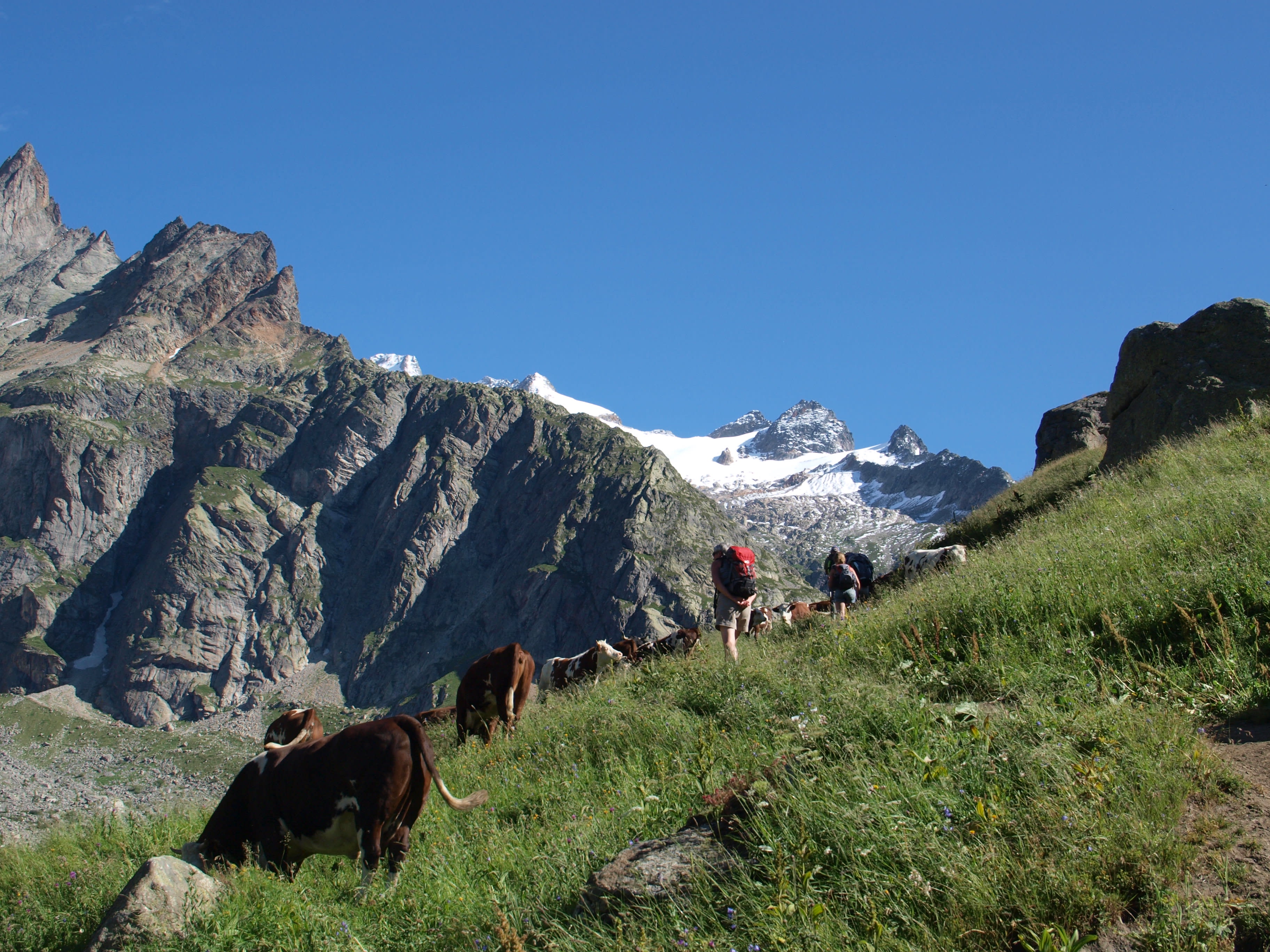 Image Tour du Mont Blanc Complet